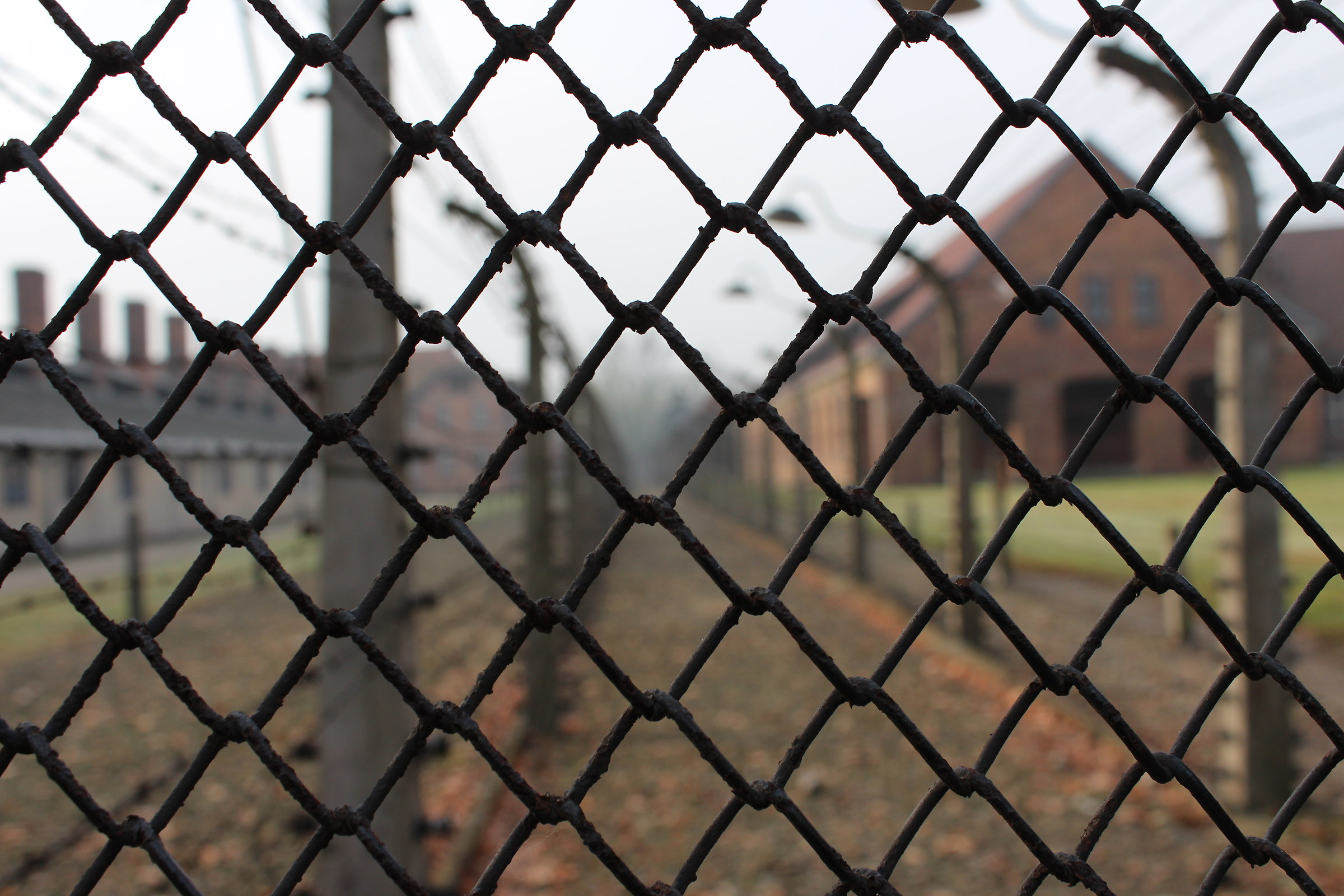 Auschwitz " 11-2016 ":