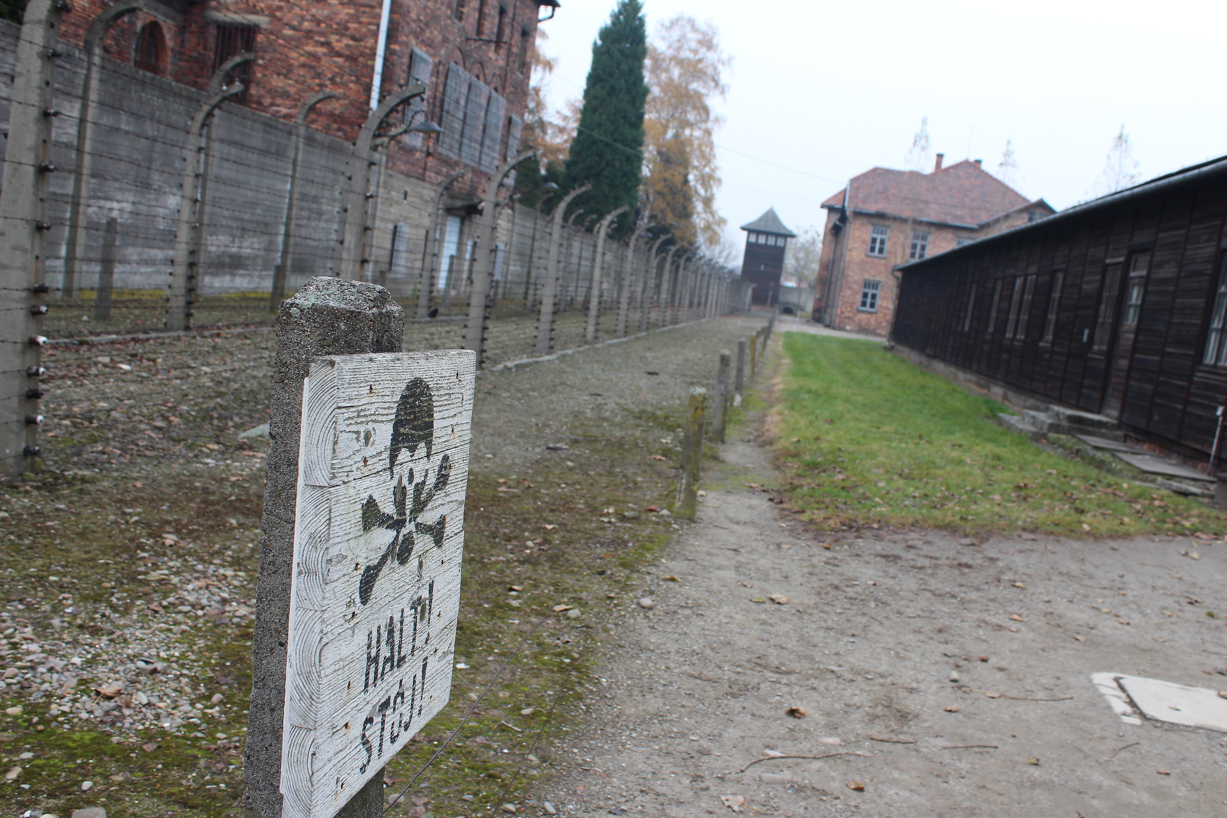 Auschwitz" 11-2016 ":