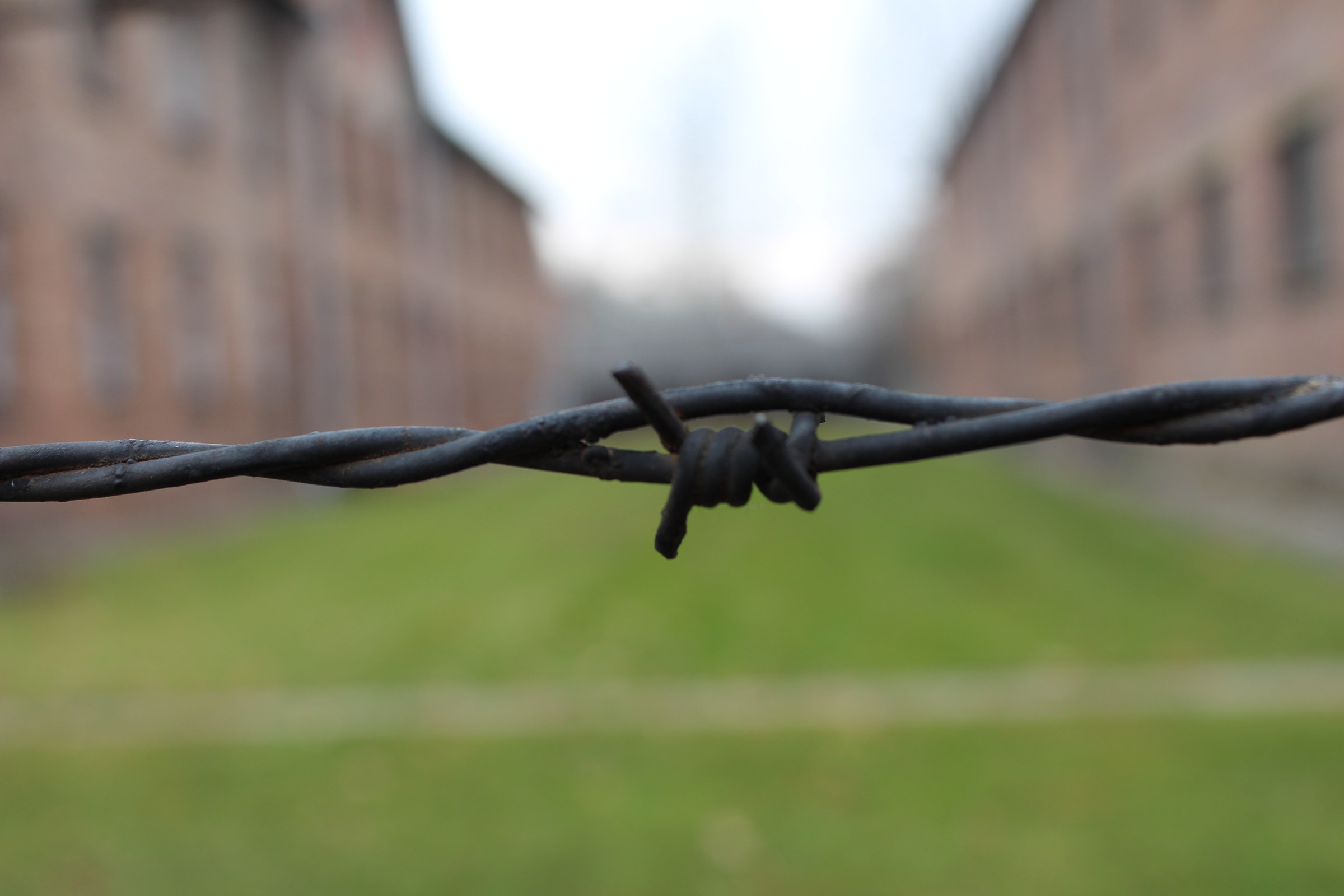 Auschwitz " 11-2016 ":