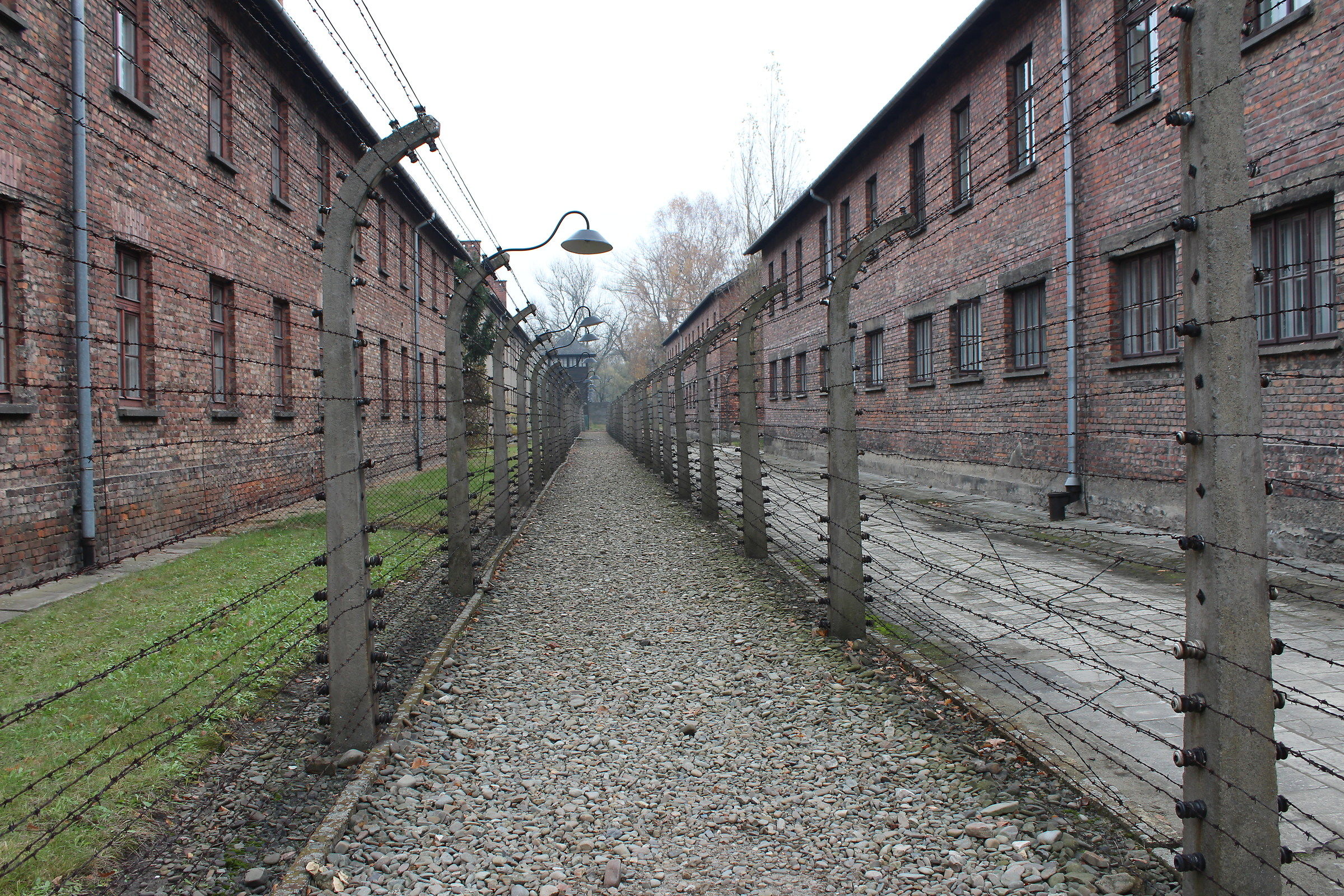 Auschwitz " 11-2016 ":