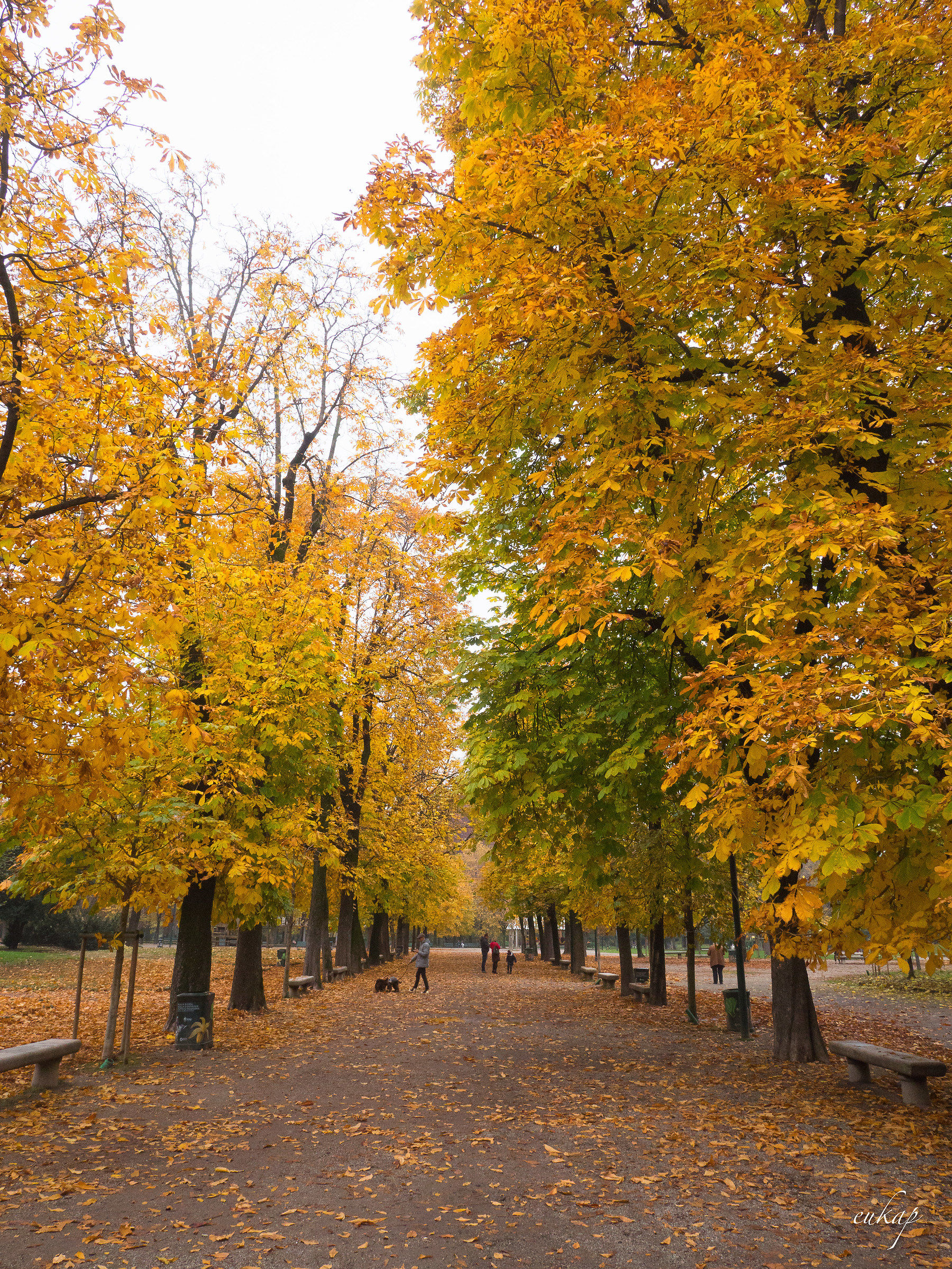 Autumn in the city # 2