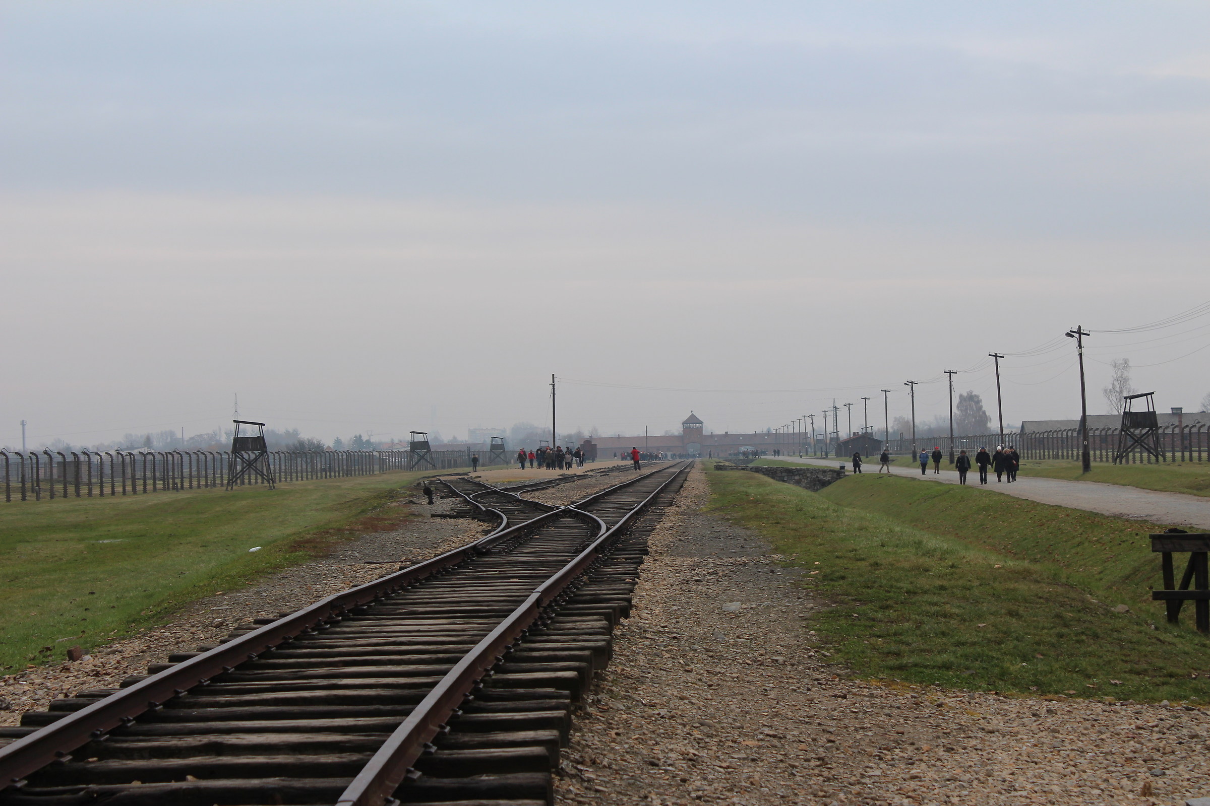 Auschwitz" 11-2016 ":