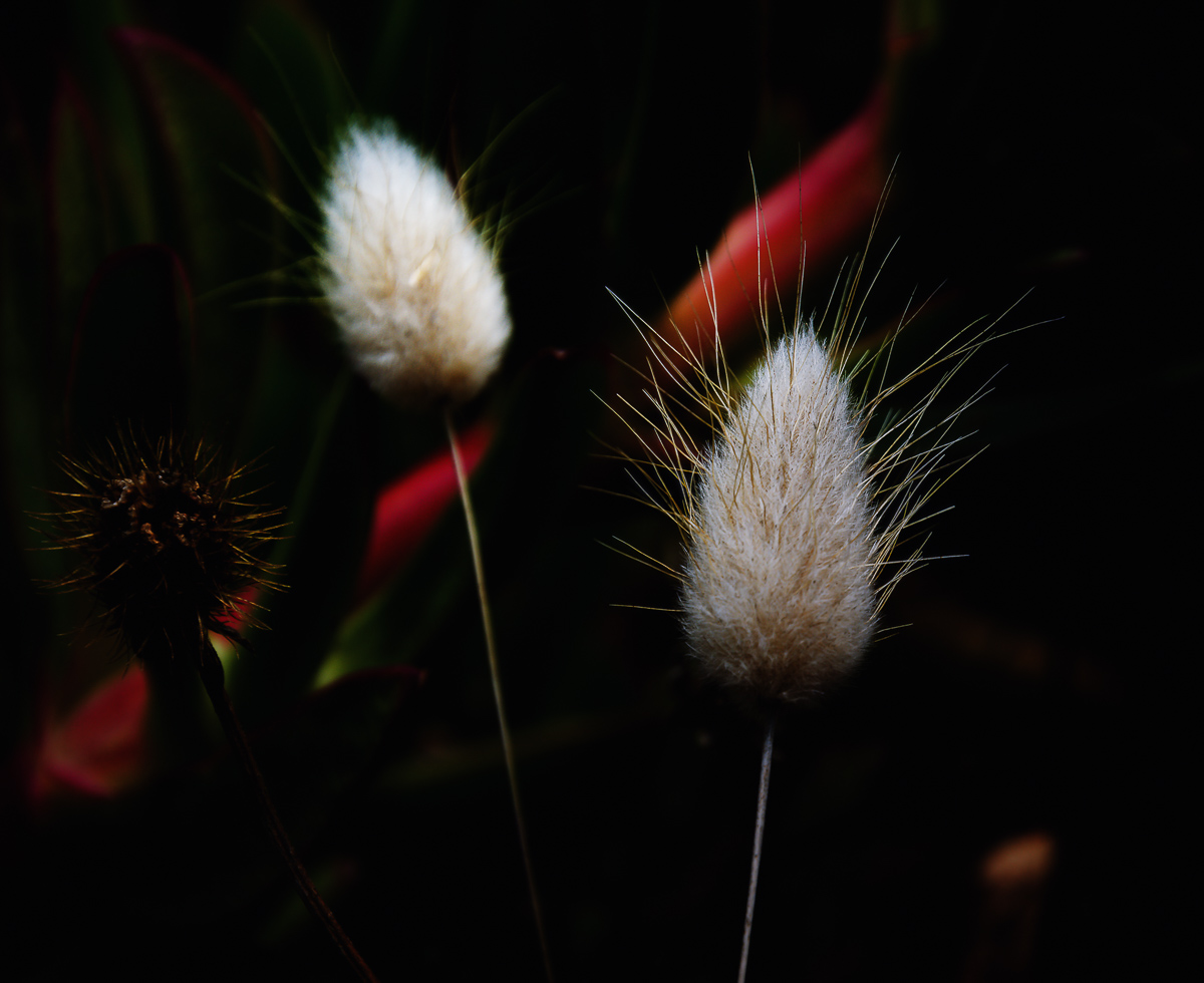 Untitled Photo