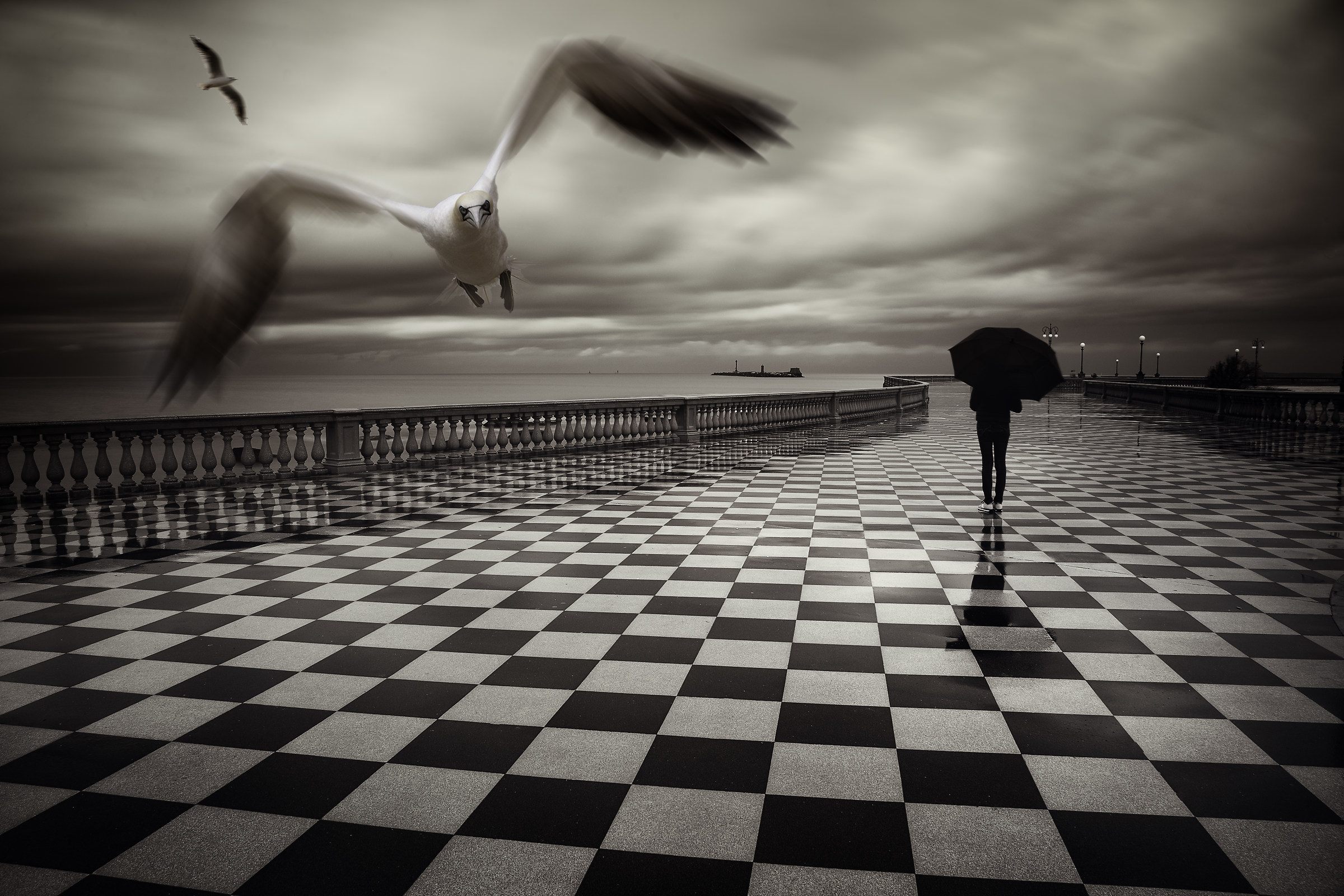 Terrazza Mascagni with Sula