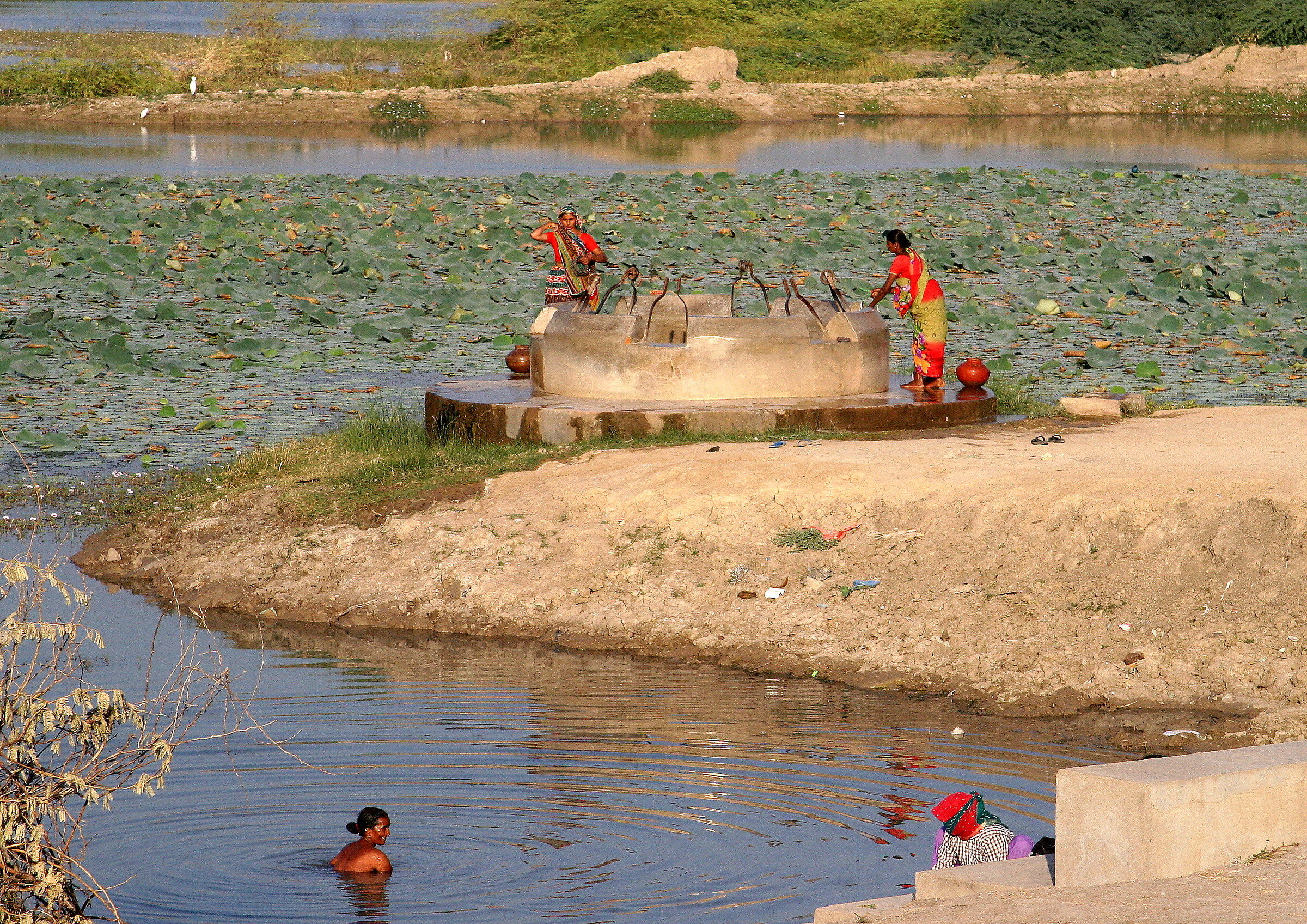 0589 - the well Vita