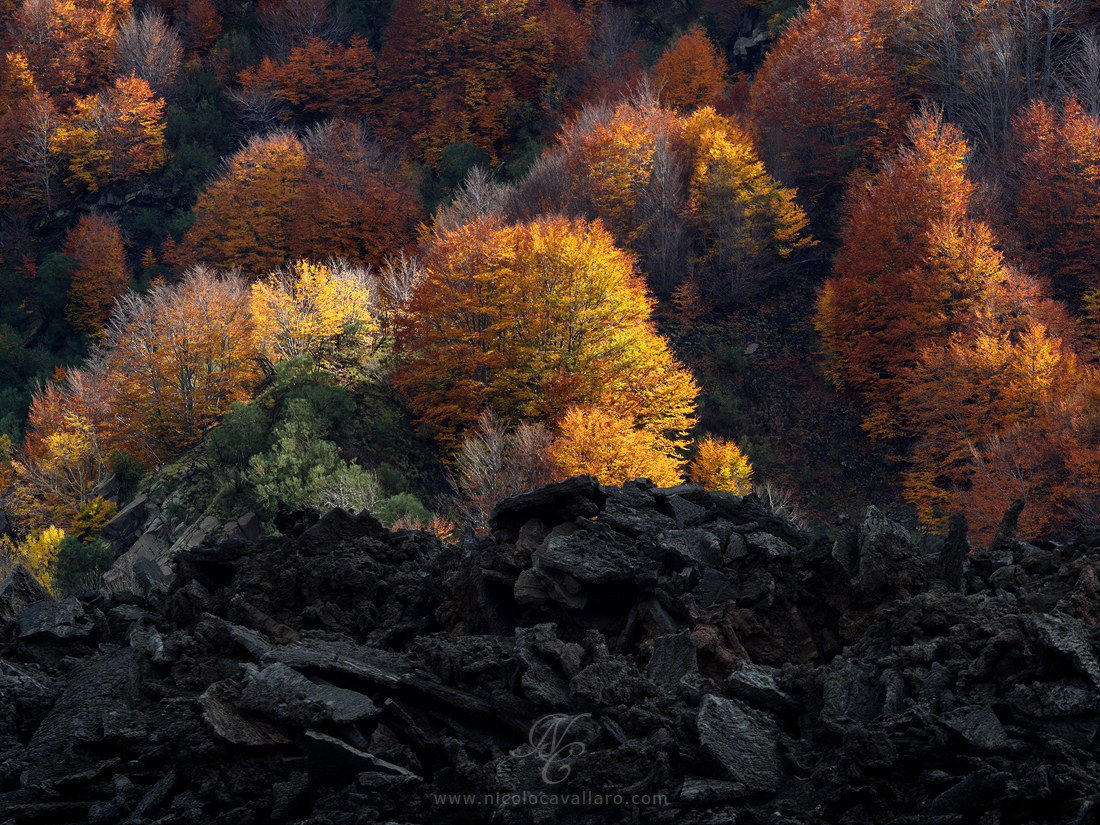 Etna: fall