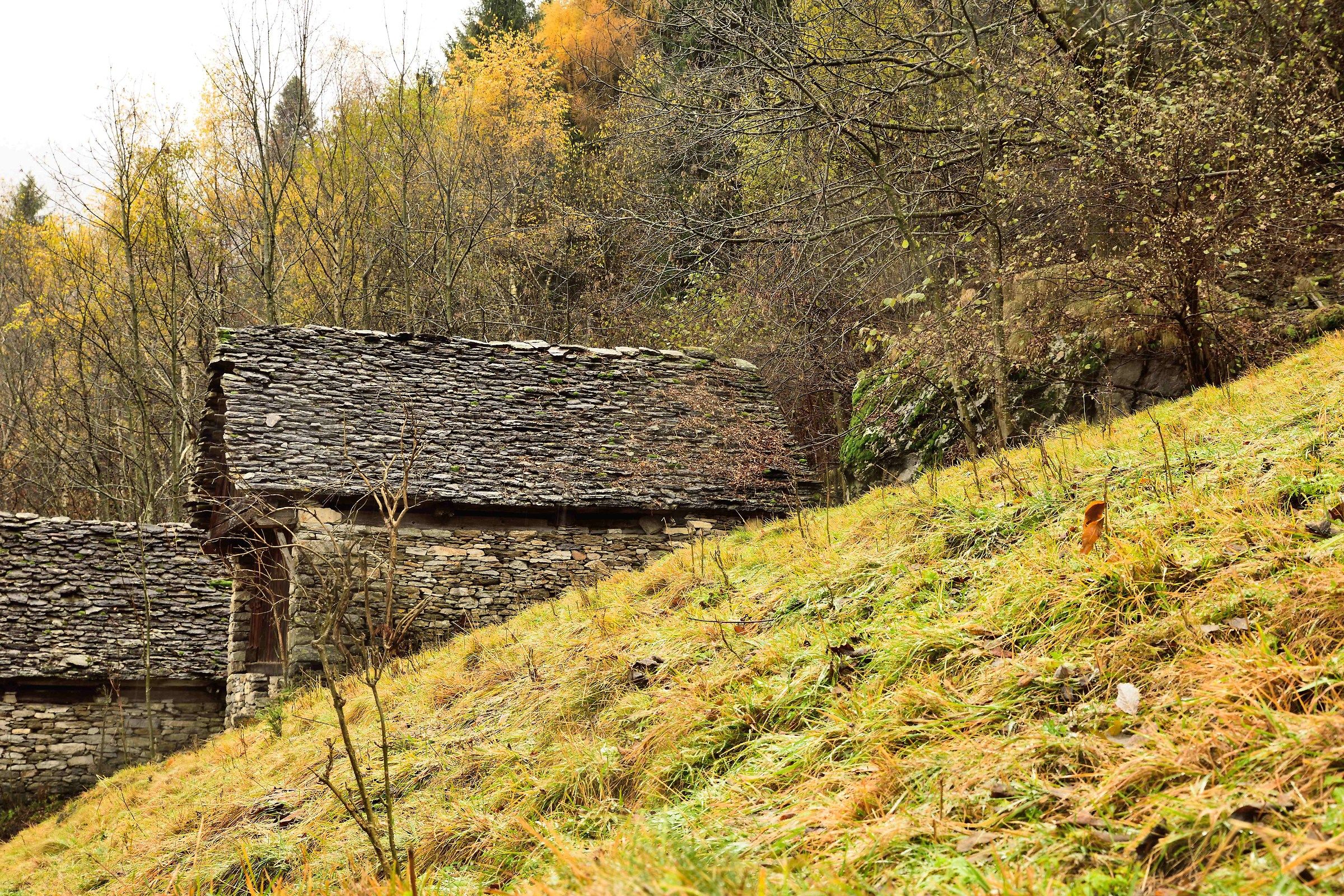 testing Tamron 24-70 f2.8