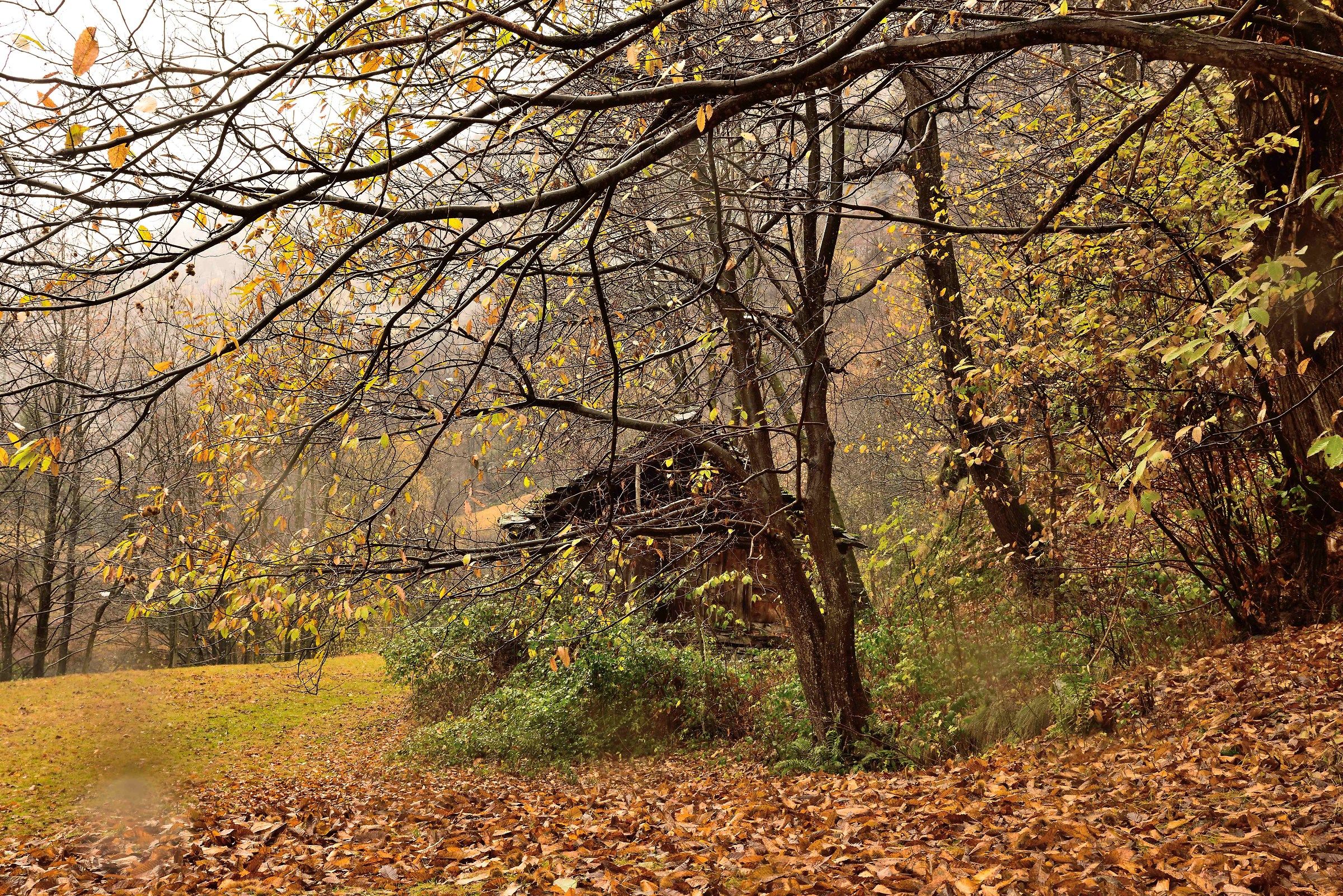 just above Croveo fraction of Baceno