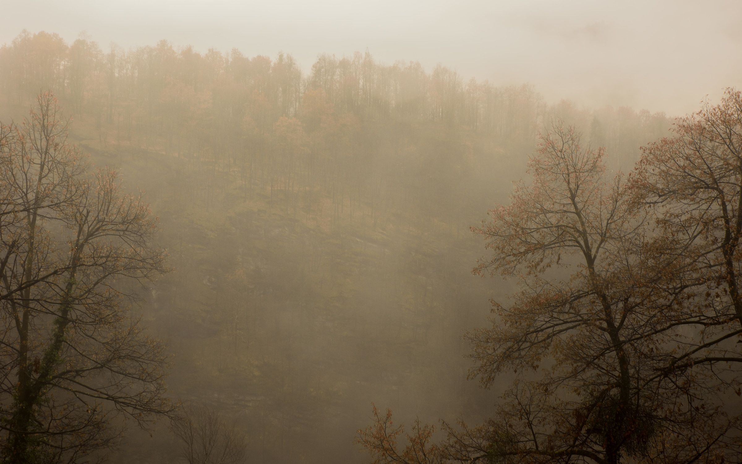 between fog and rain