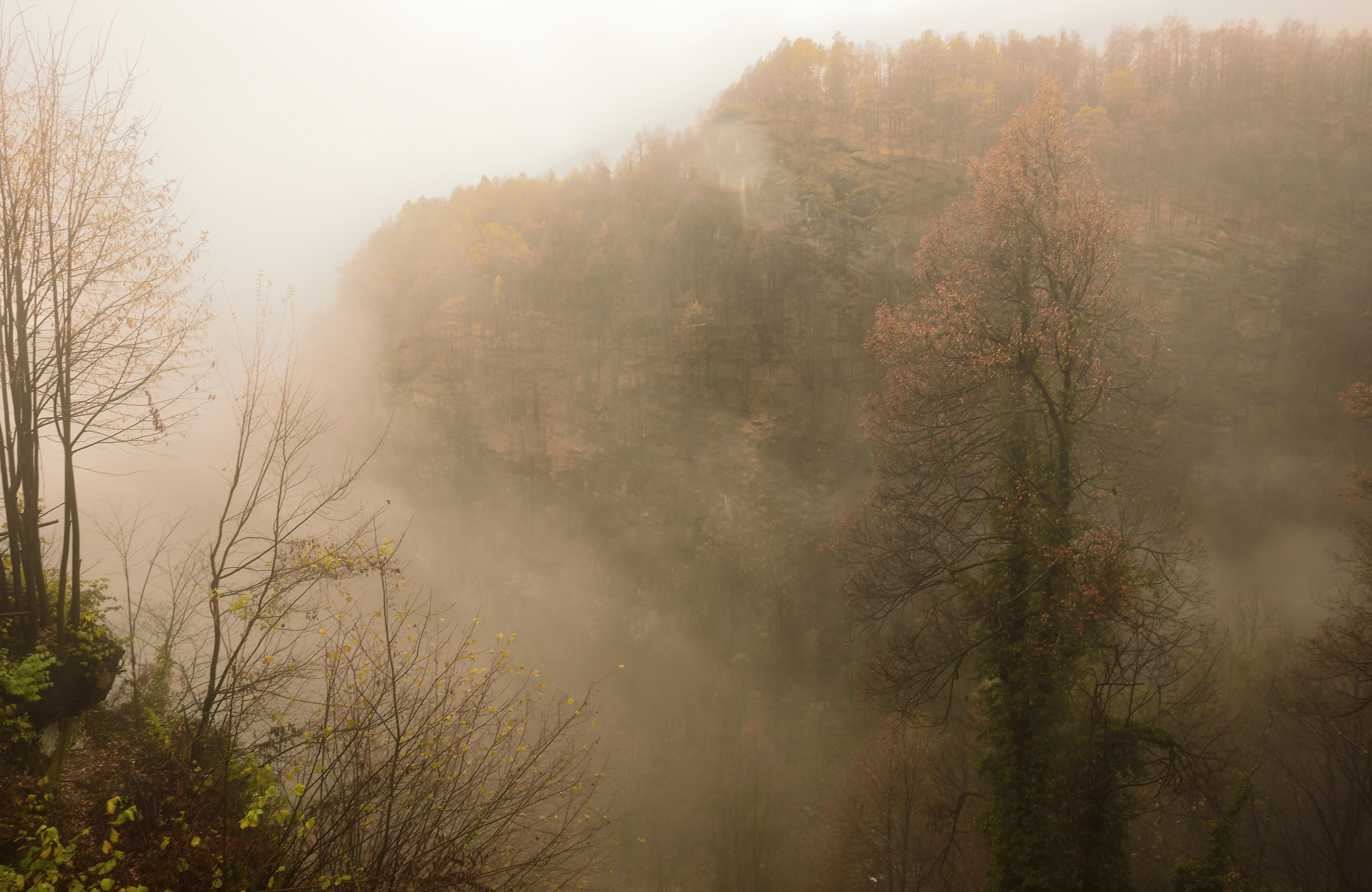 between fog and rain