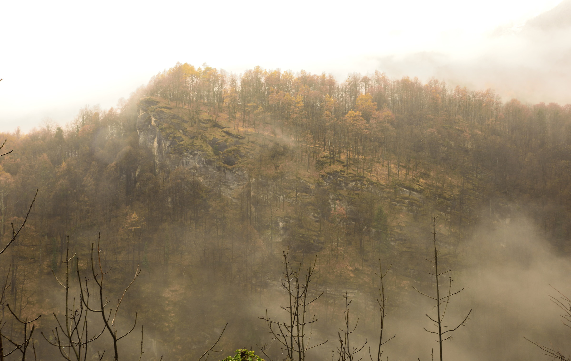 between fog and rain