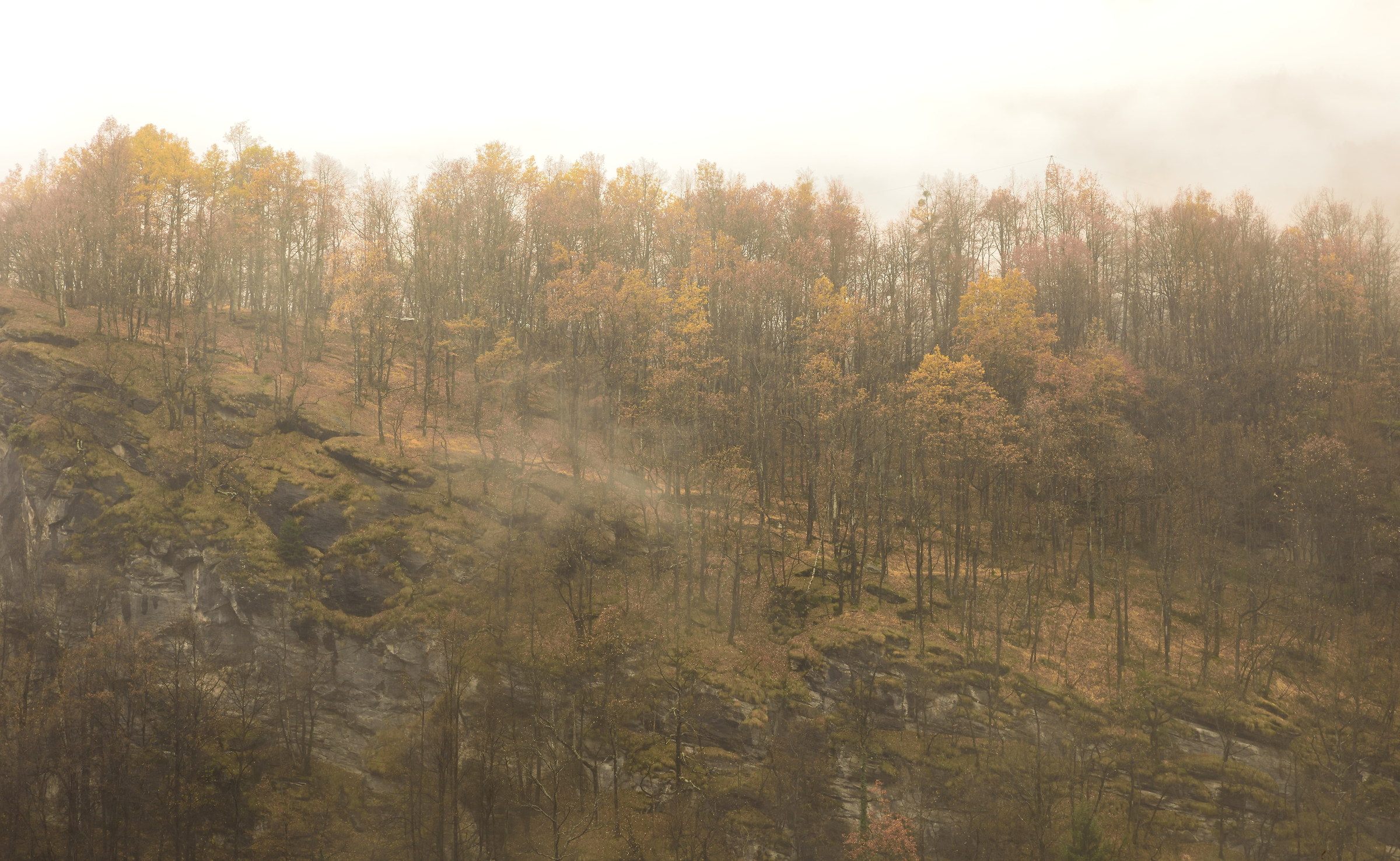 between fog and rain