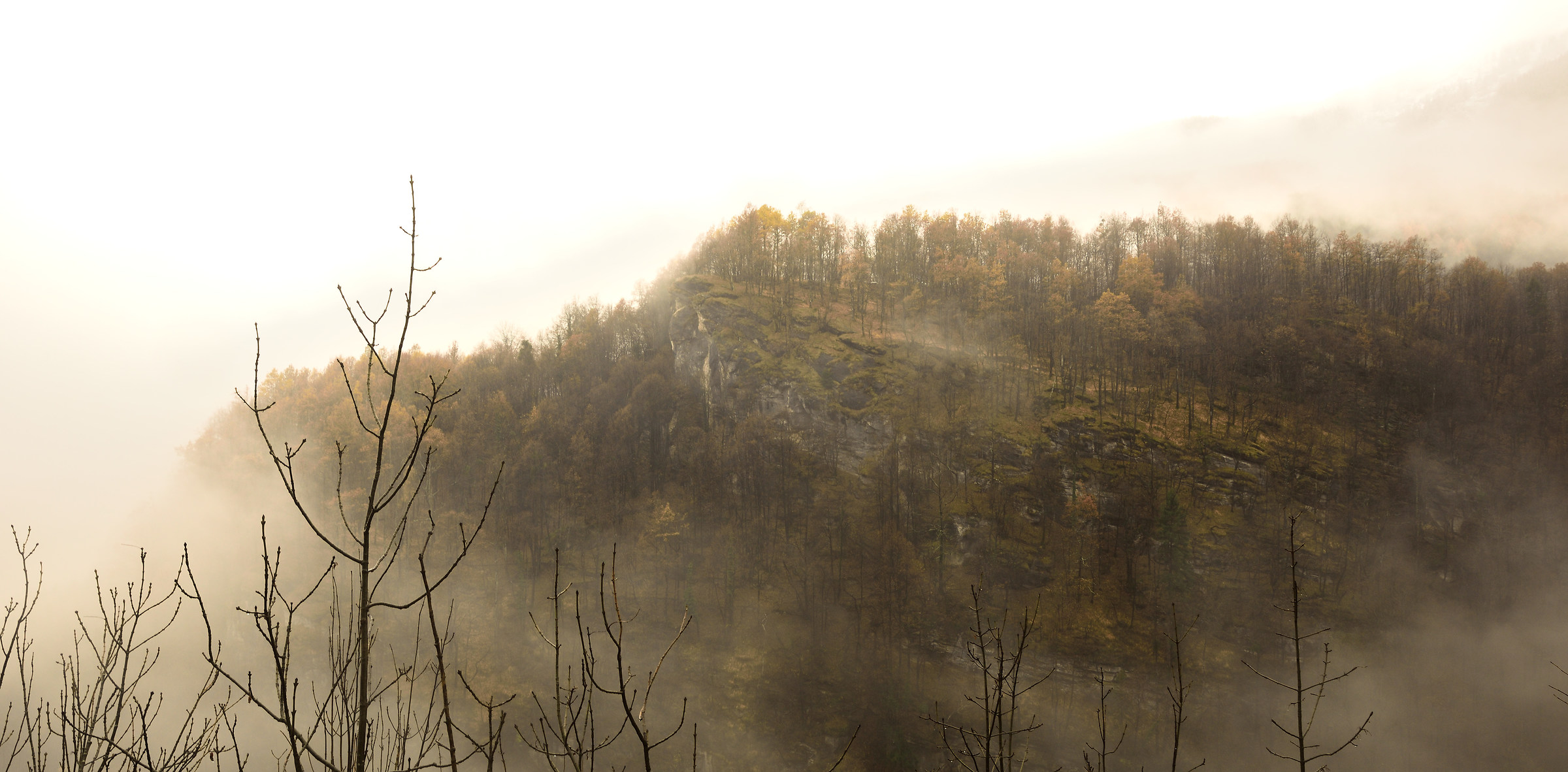 between fog and rain