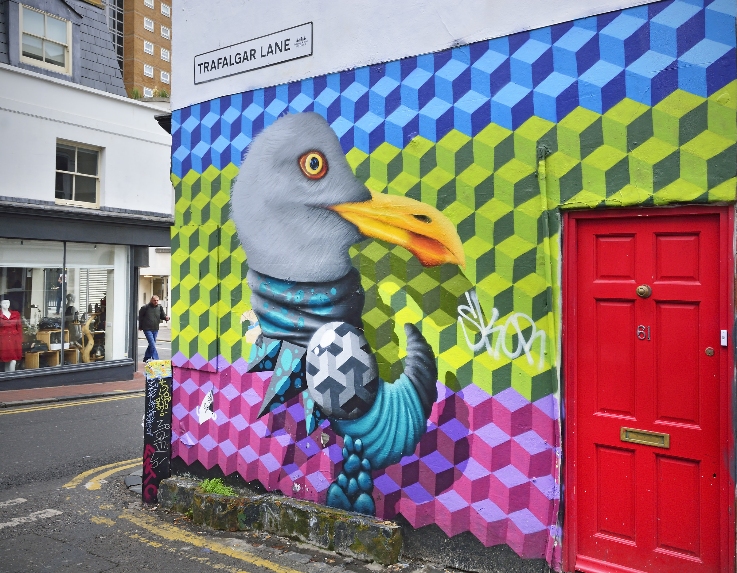 Brighton's Football Team - The Seagulls!