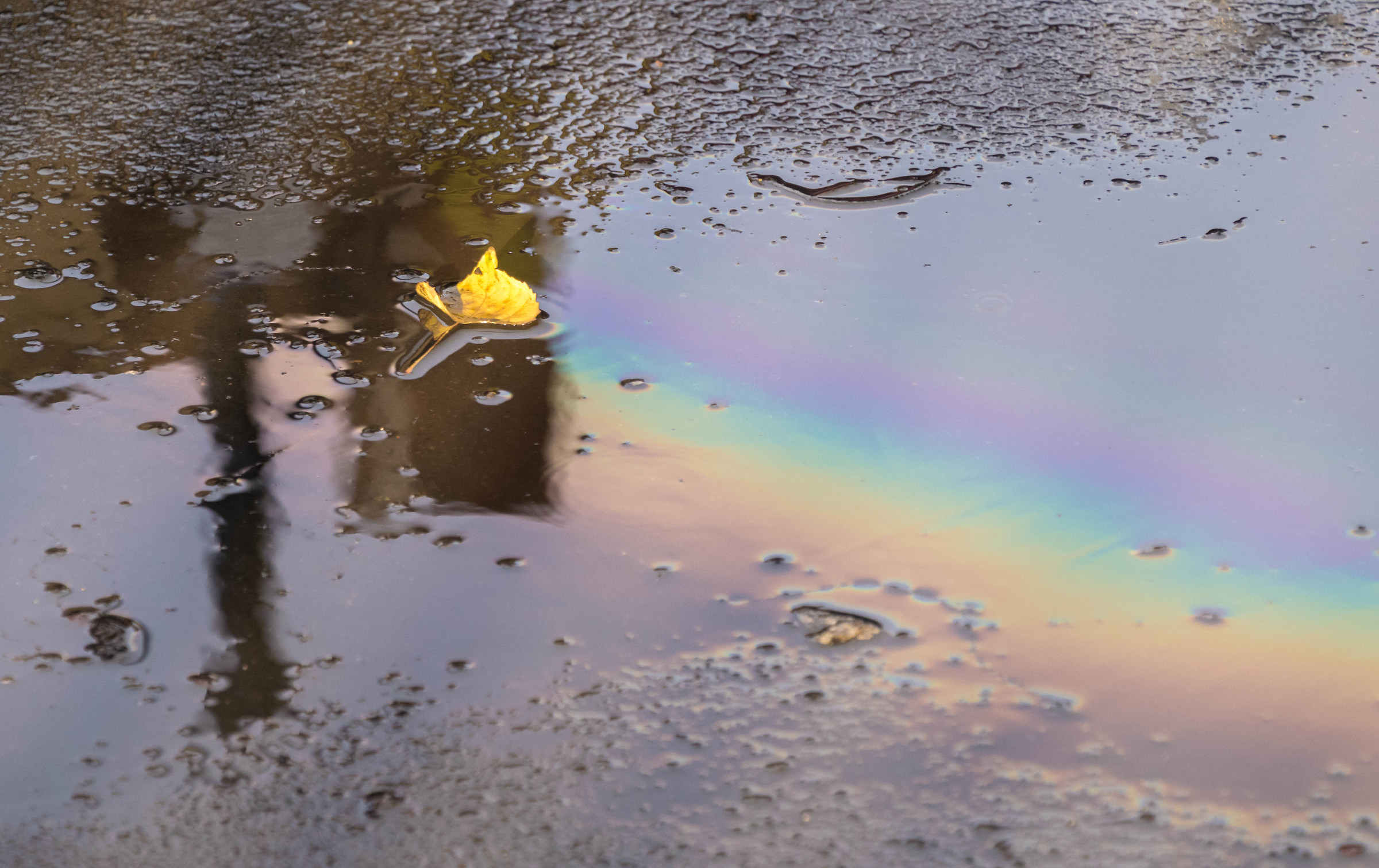 Promise In A Puddle