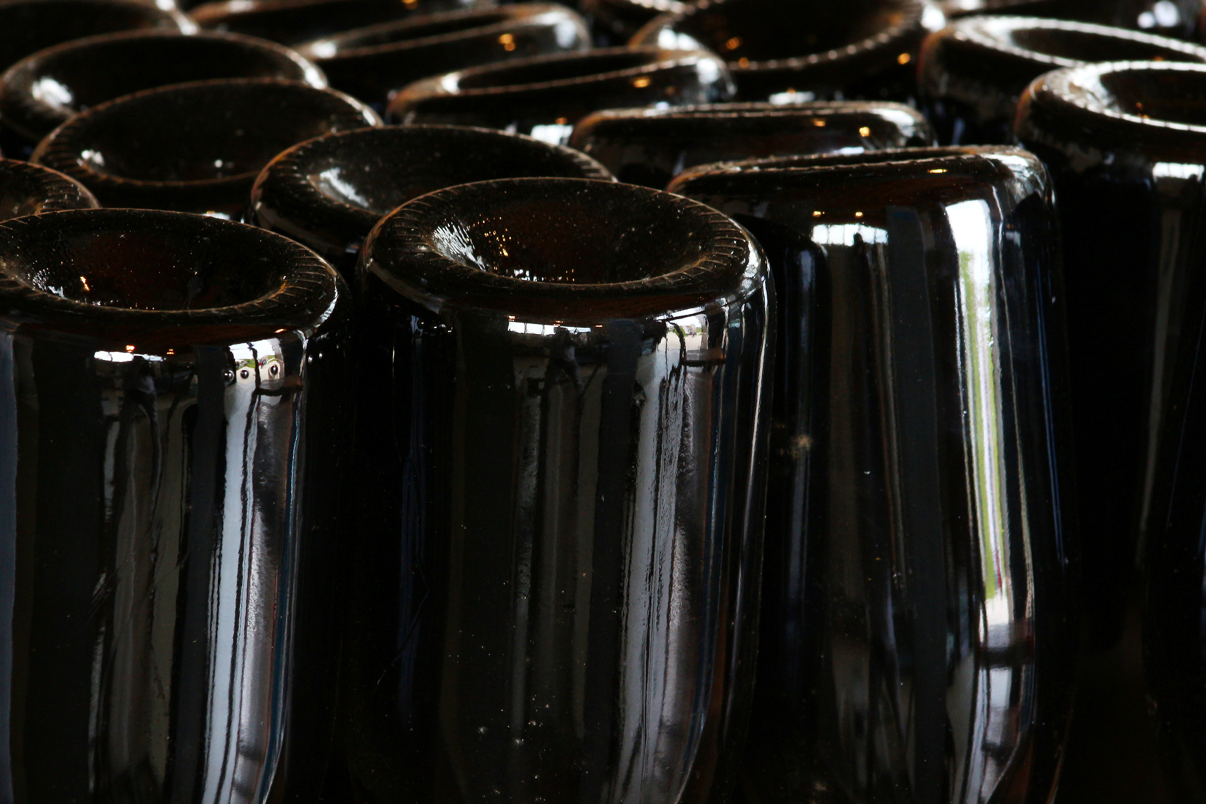 Bottiglie in preparazione, Lambrusco