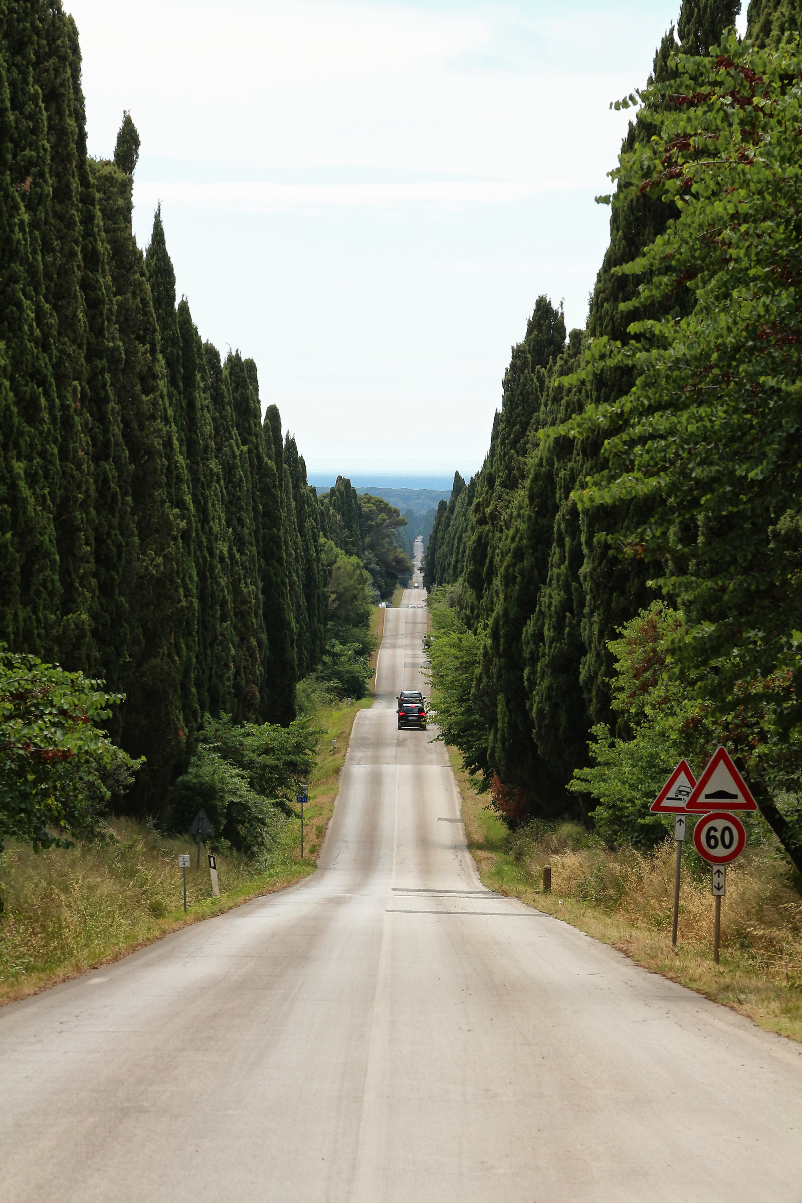 Bolgheri, paesaggio