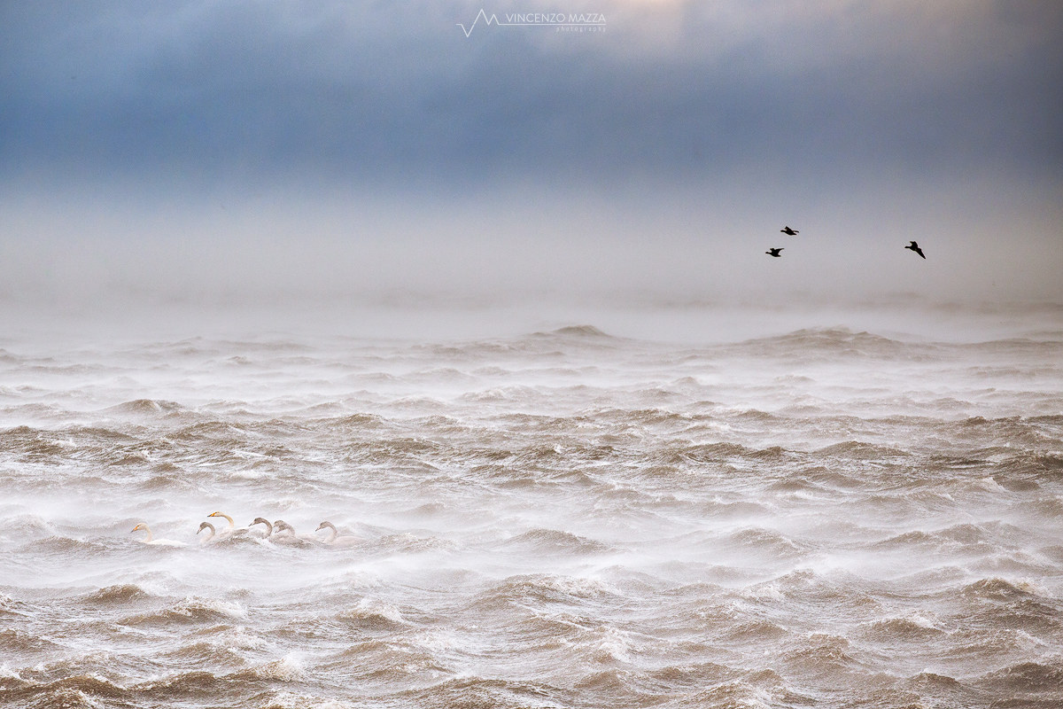 Combattendo la tempesta