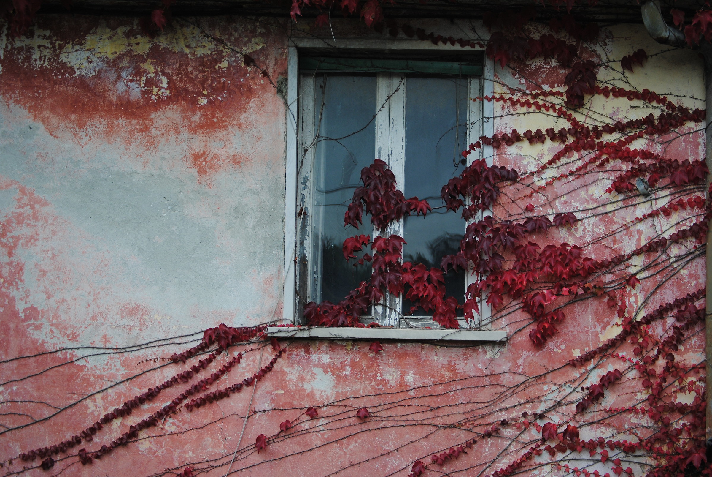 do not open the window ...