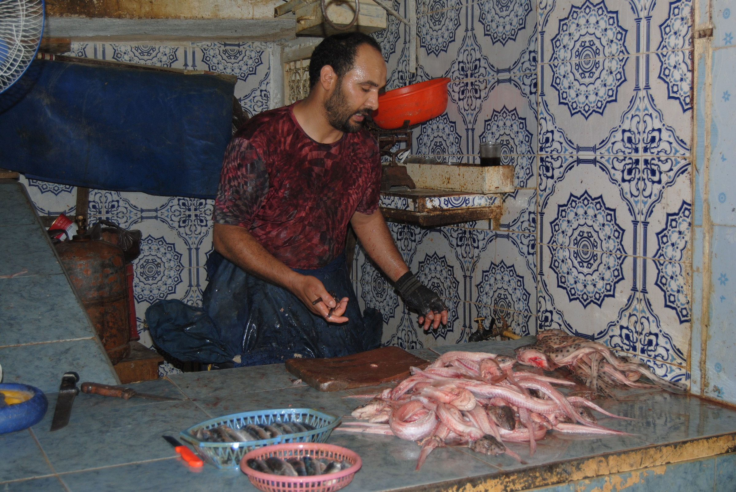 pescheria nel Suk di Fés