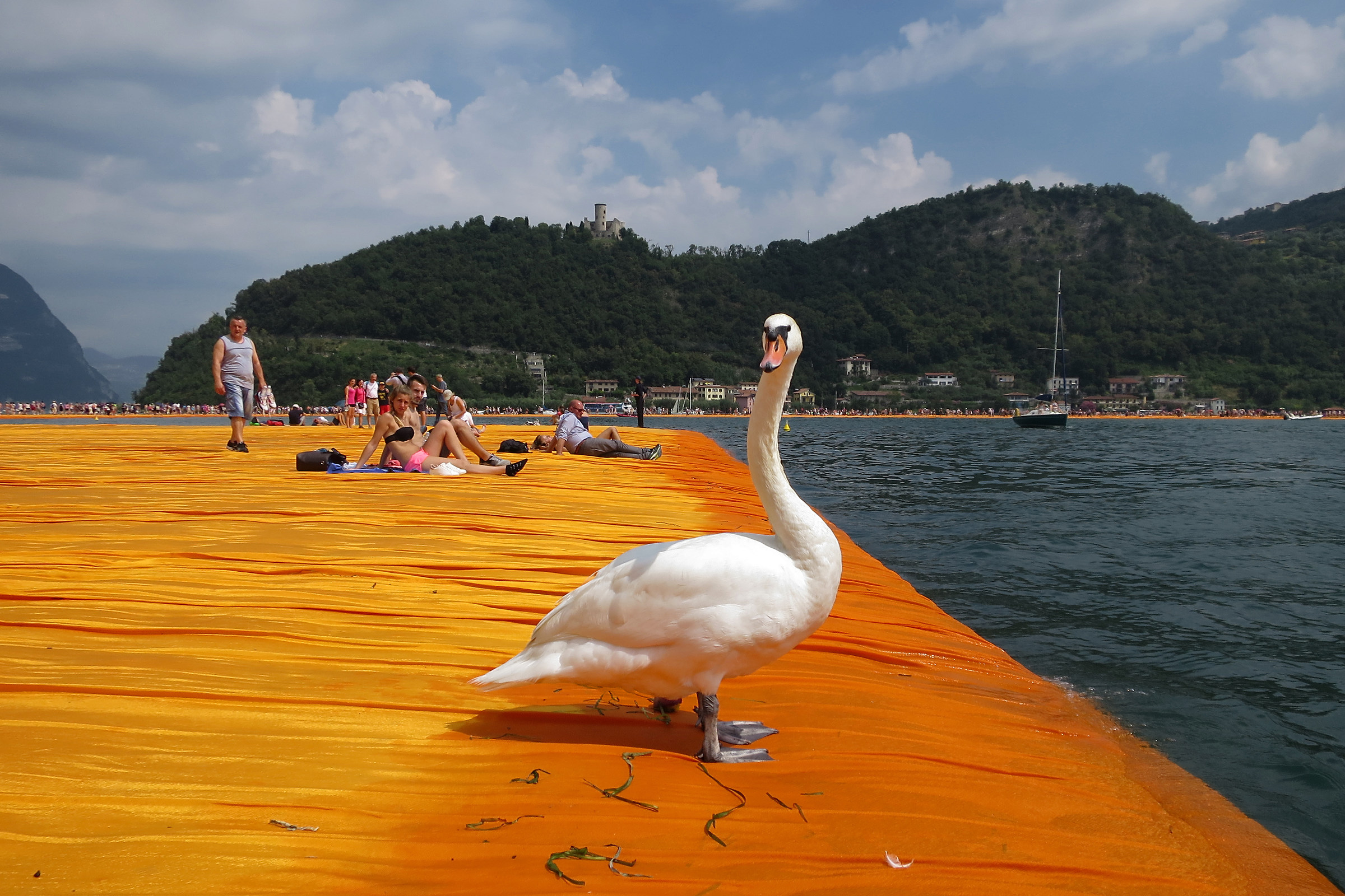 Floating piers, find the intruder.