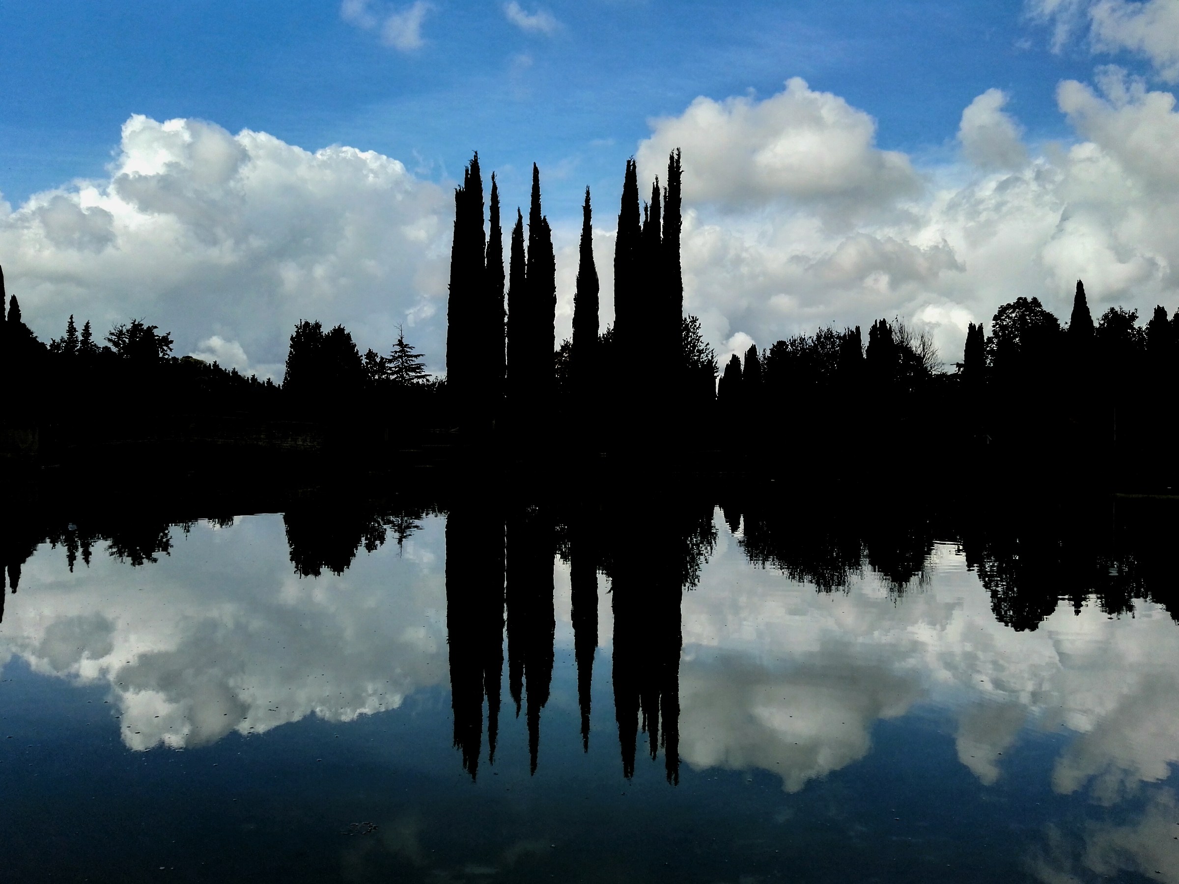 Elettroencefalogramma vegetale