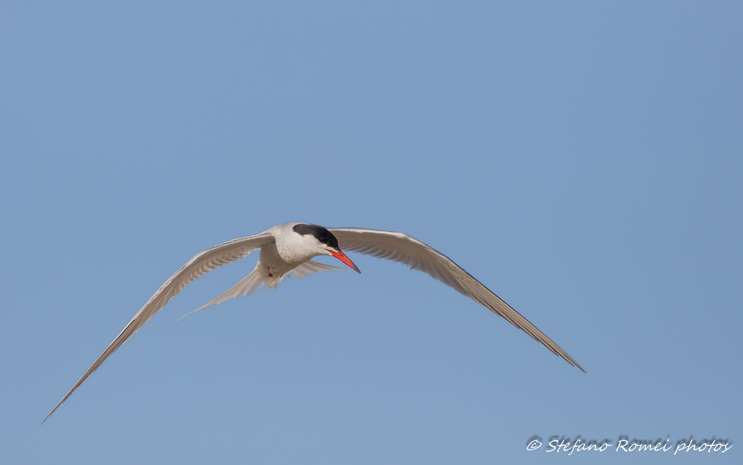 la bellezza del volo
