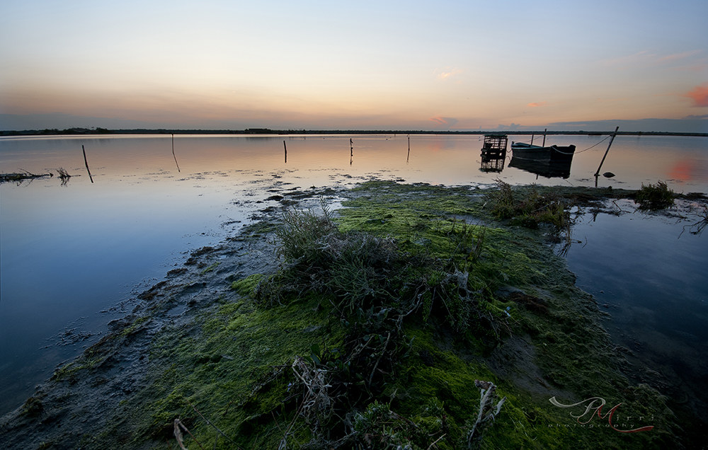 Valle Pialassa Marina Romea
