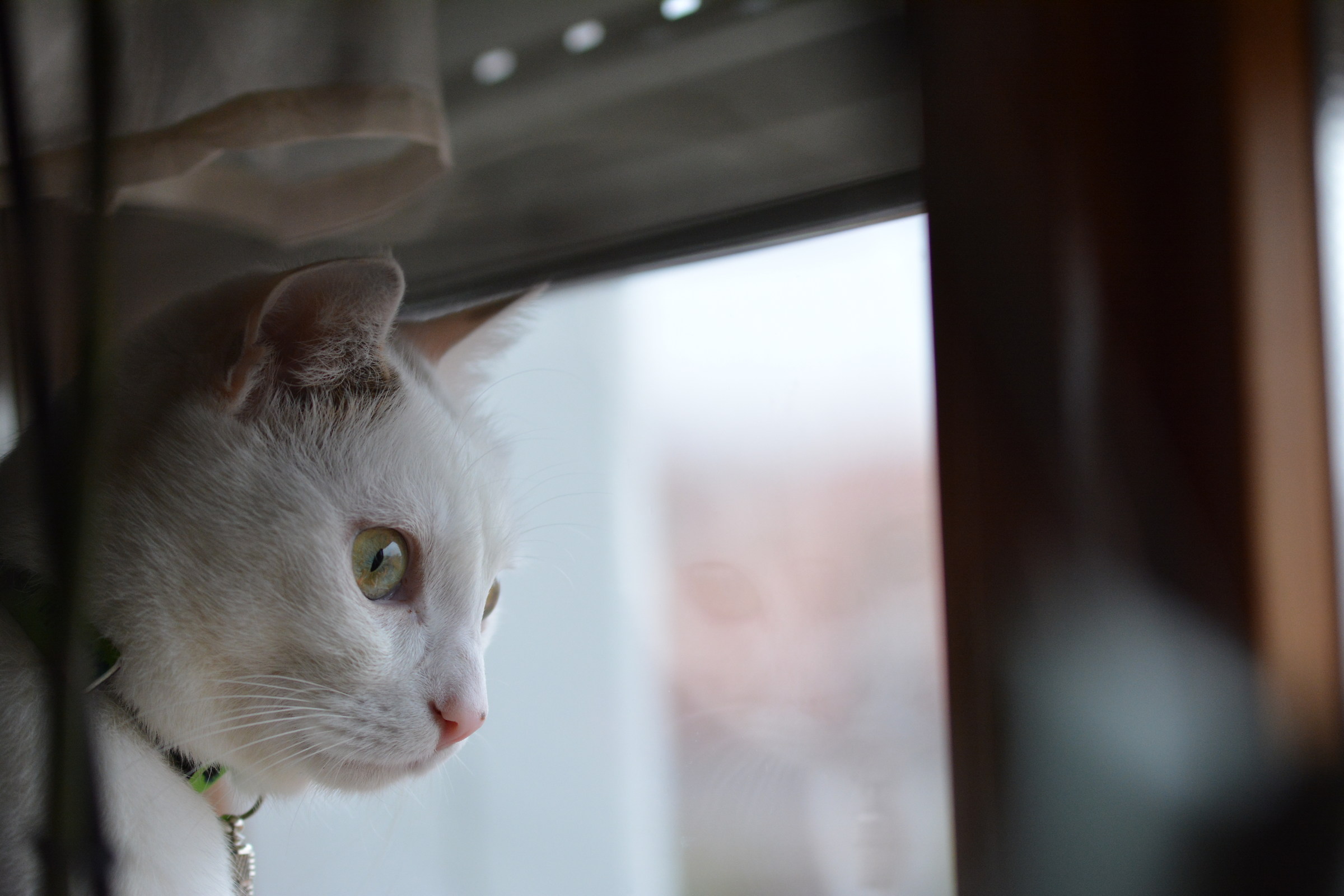 Guardando il panorama