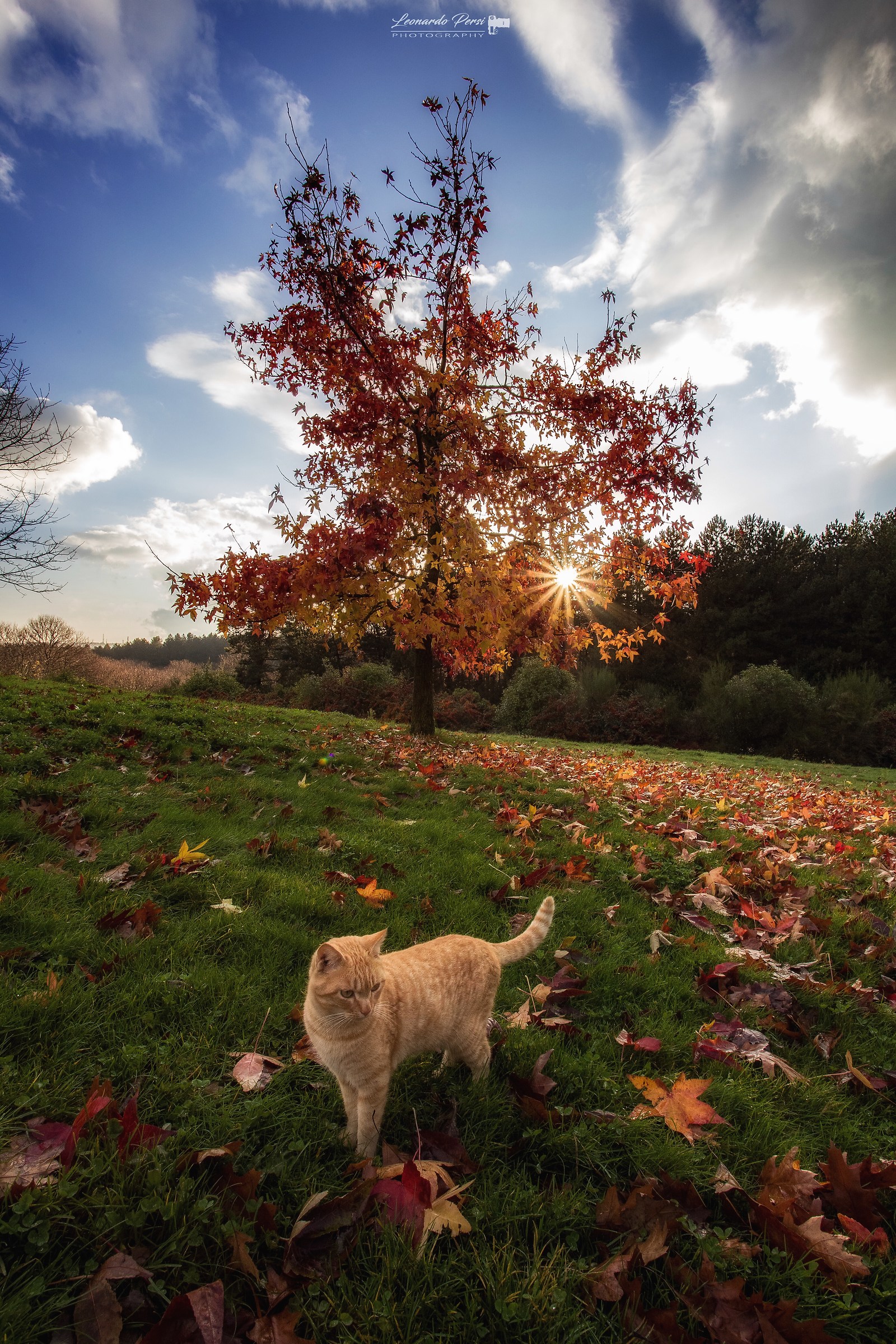 come in una favola...