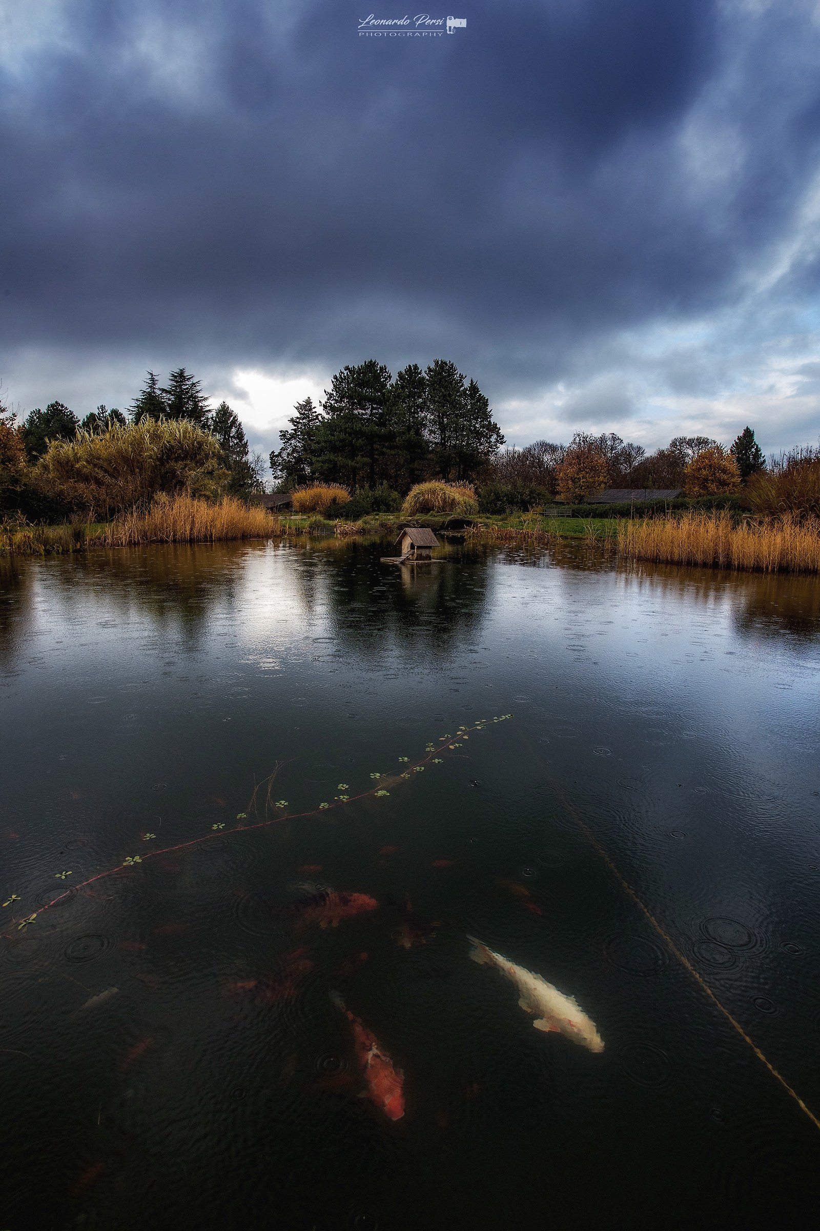 temporale in arrivo...