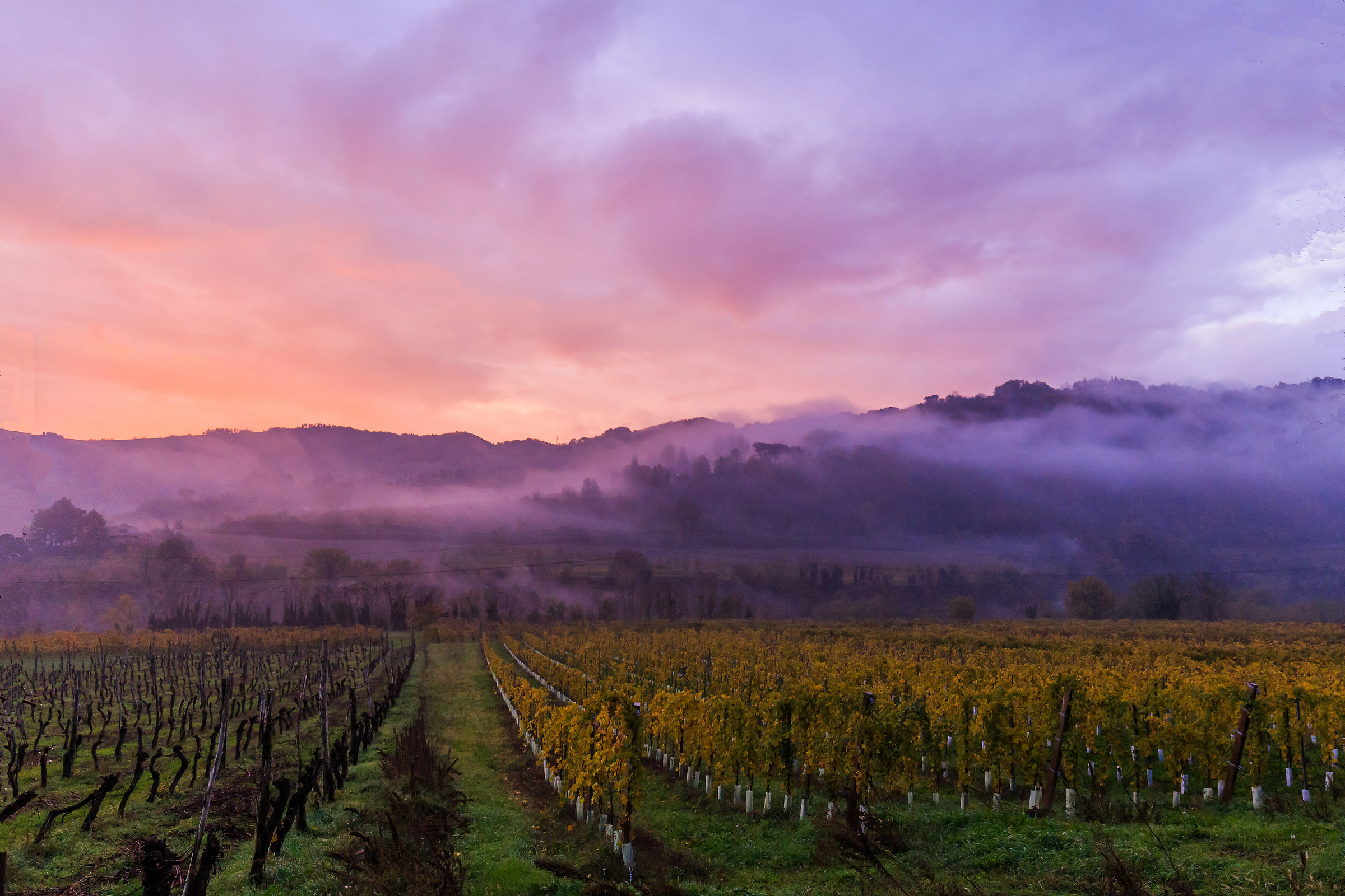 Nebbia di stagione a Kilometri zero.