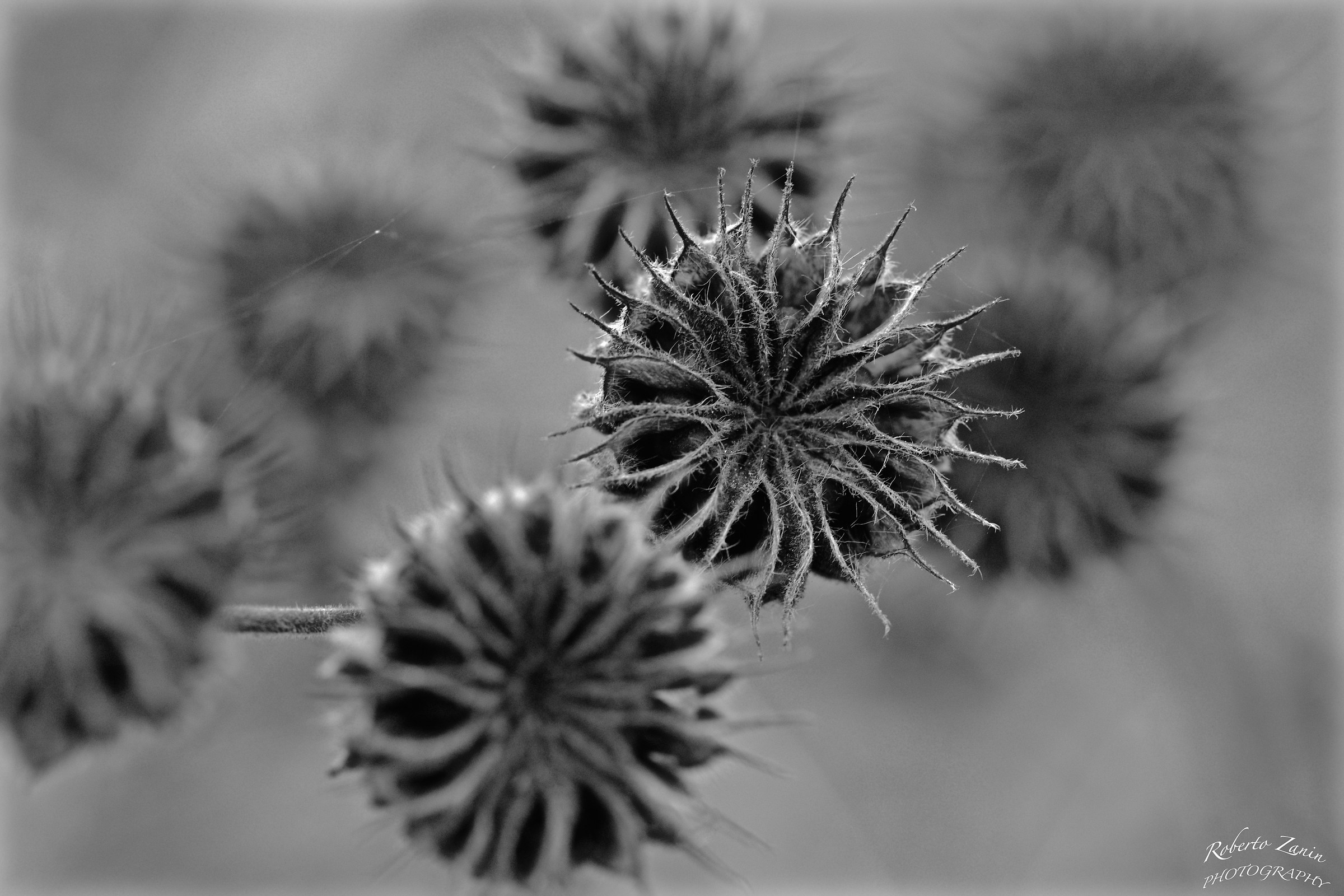 Tra i prati autunnali