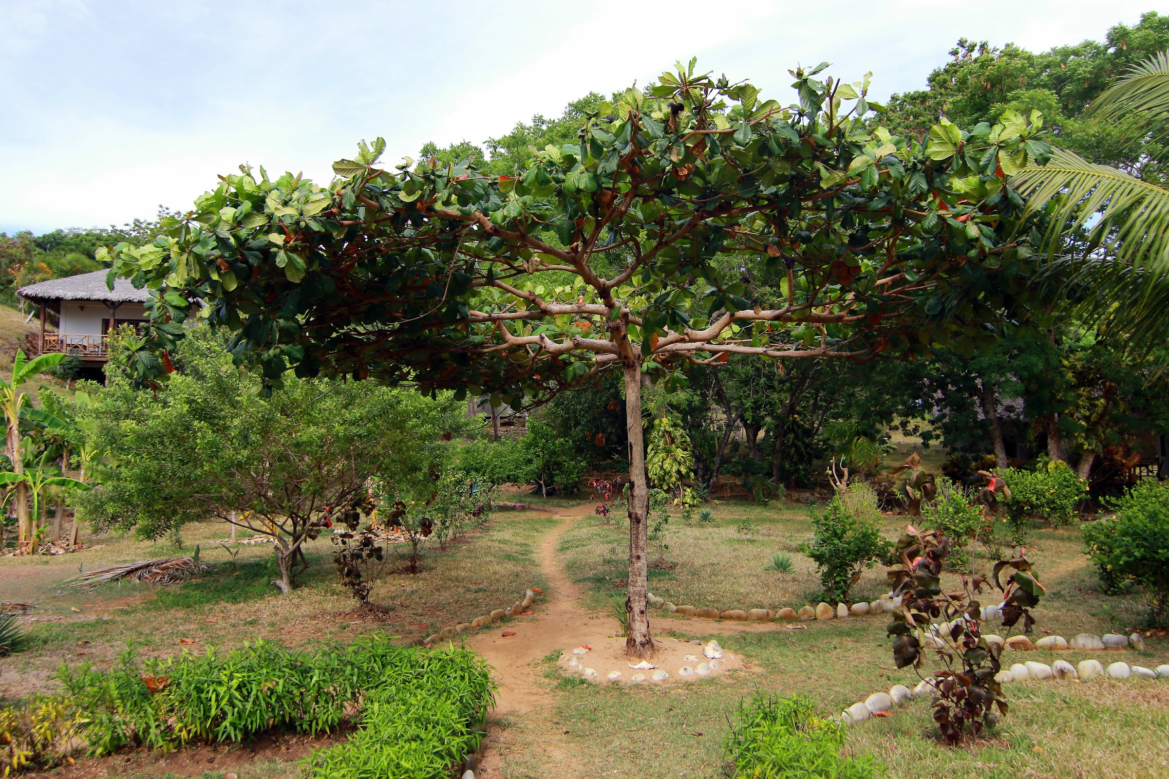 da qualche parte...in.. Madagascar...