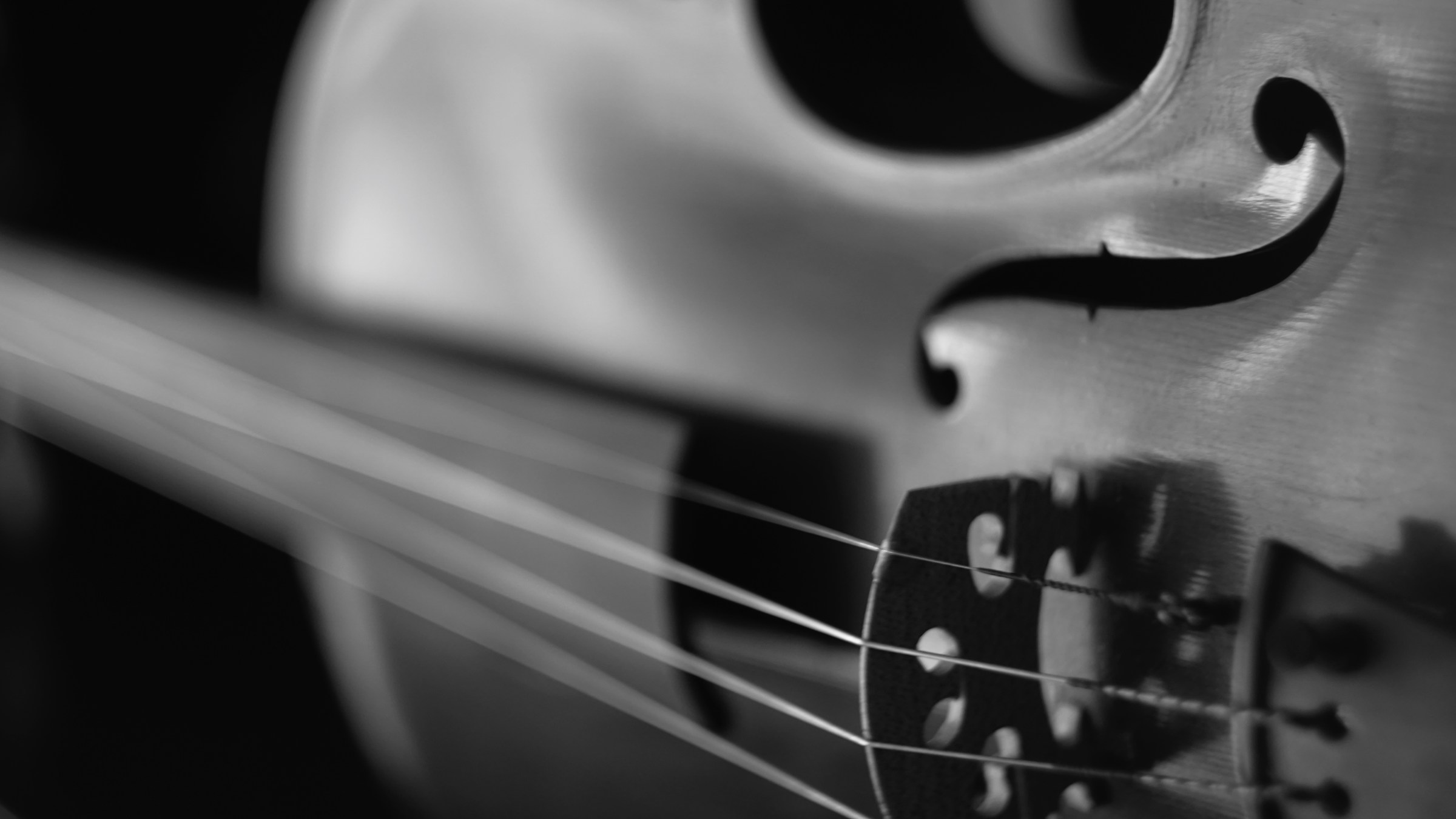 Workshop of a stringed instrument maker  4