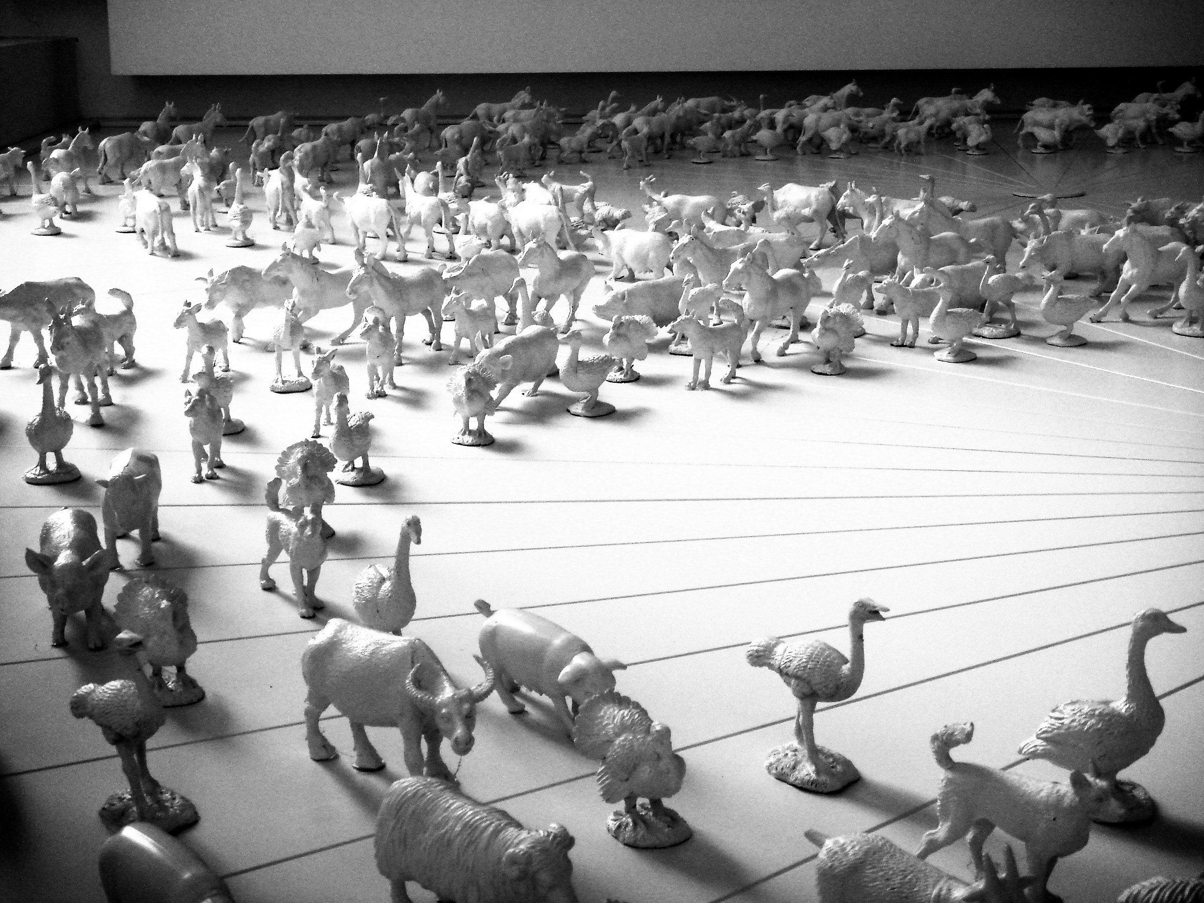 Exodus to Noah's Ark