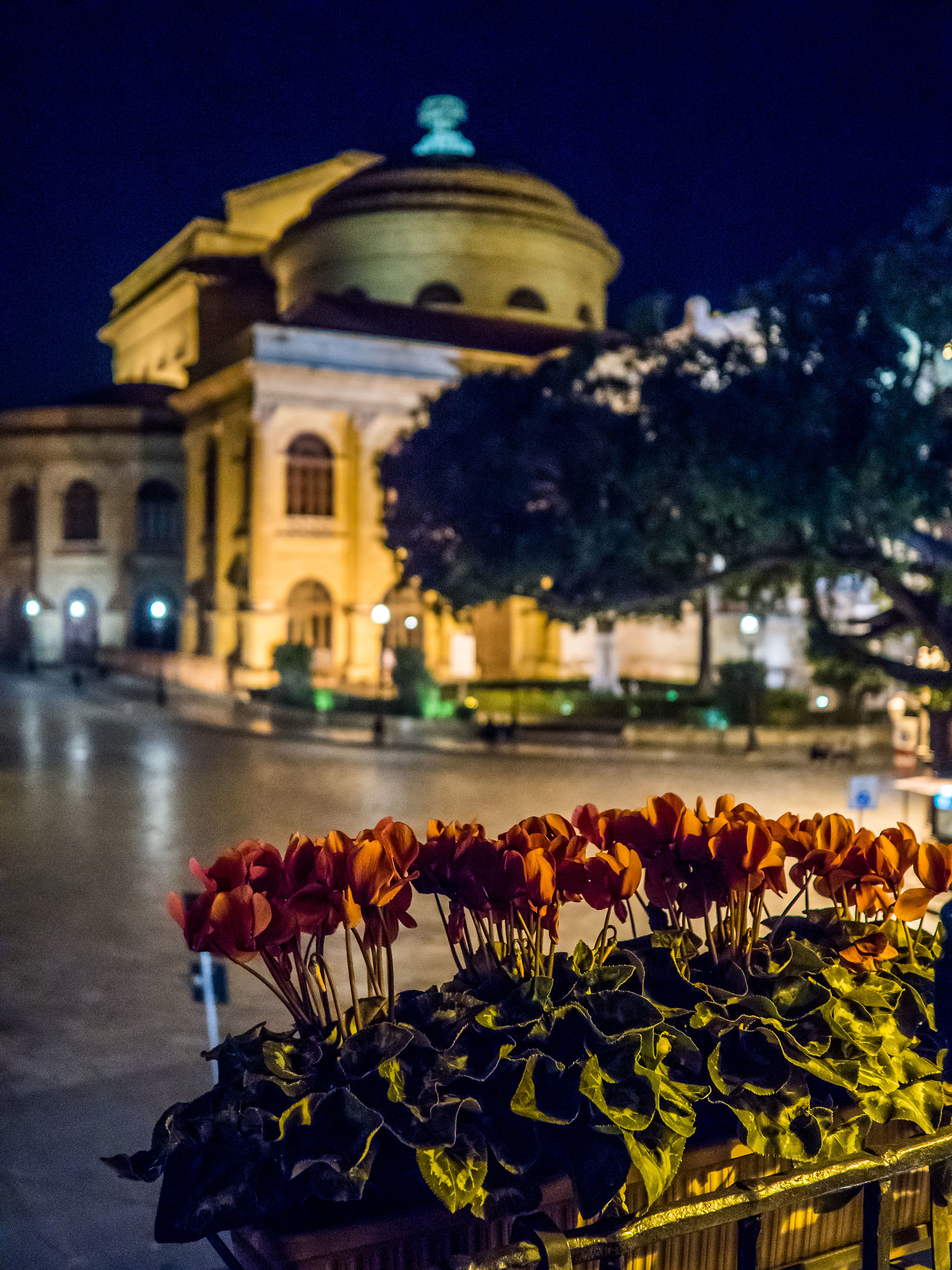 Vista Teatro Massimo dall'Hotel Massimo Plaza