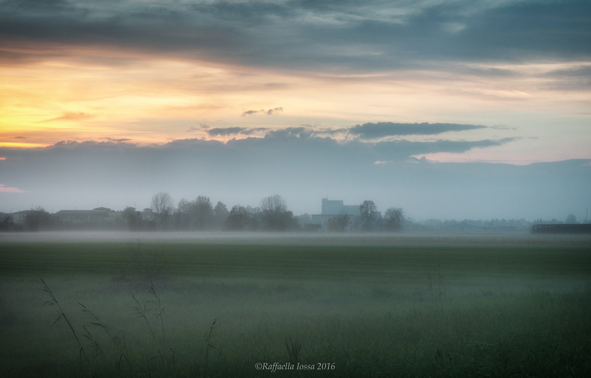 Fog in the Po Valley