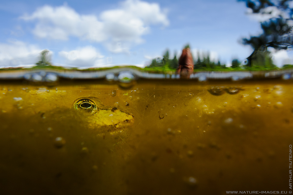 Un mostro è in agguato