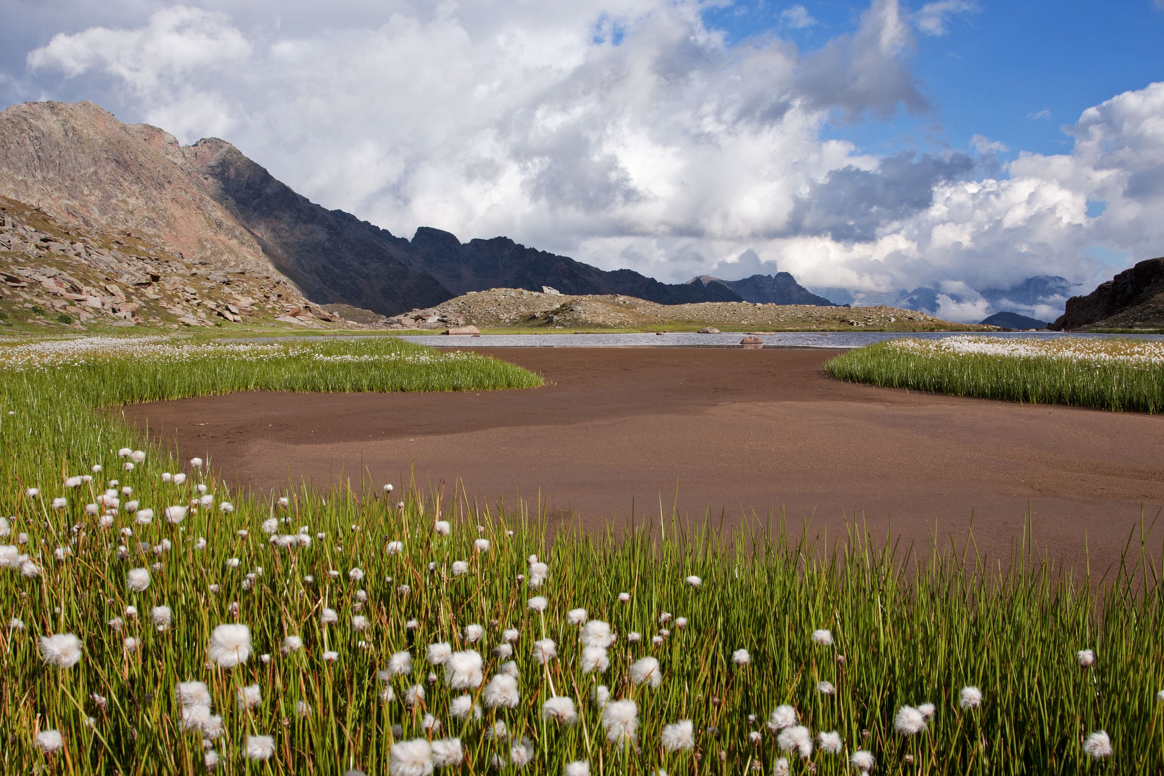 Il mio primo paesaggio