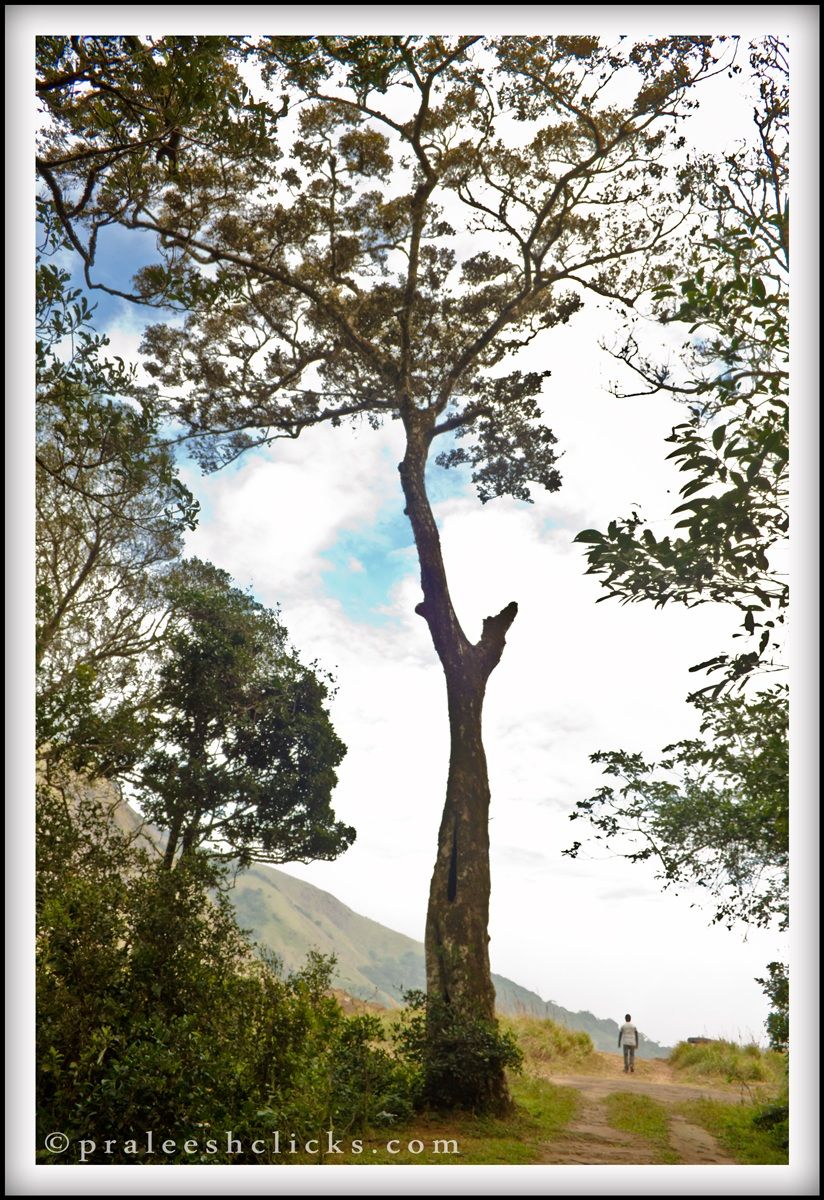 la vita è un viaggio .....