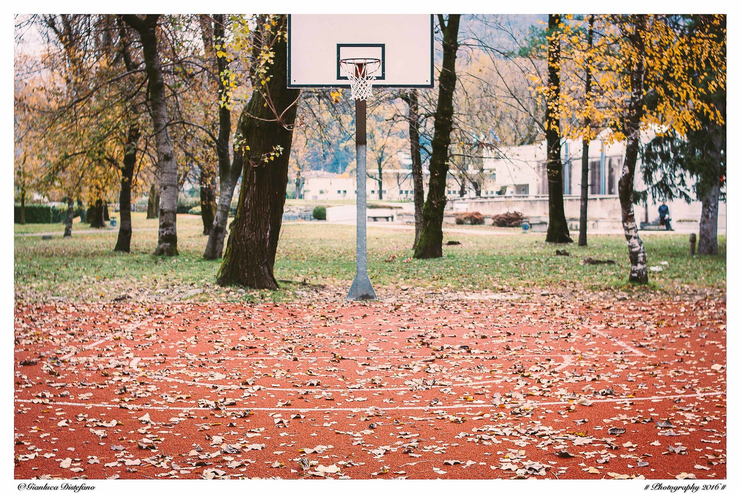 L'autunno nel canestro