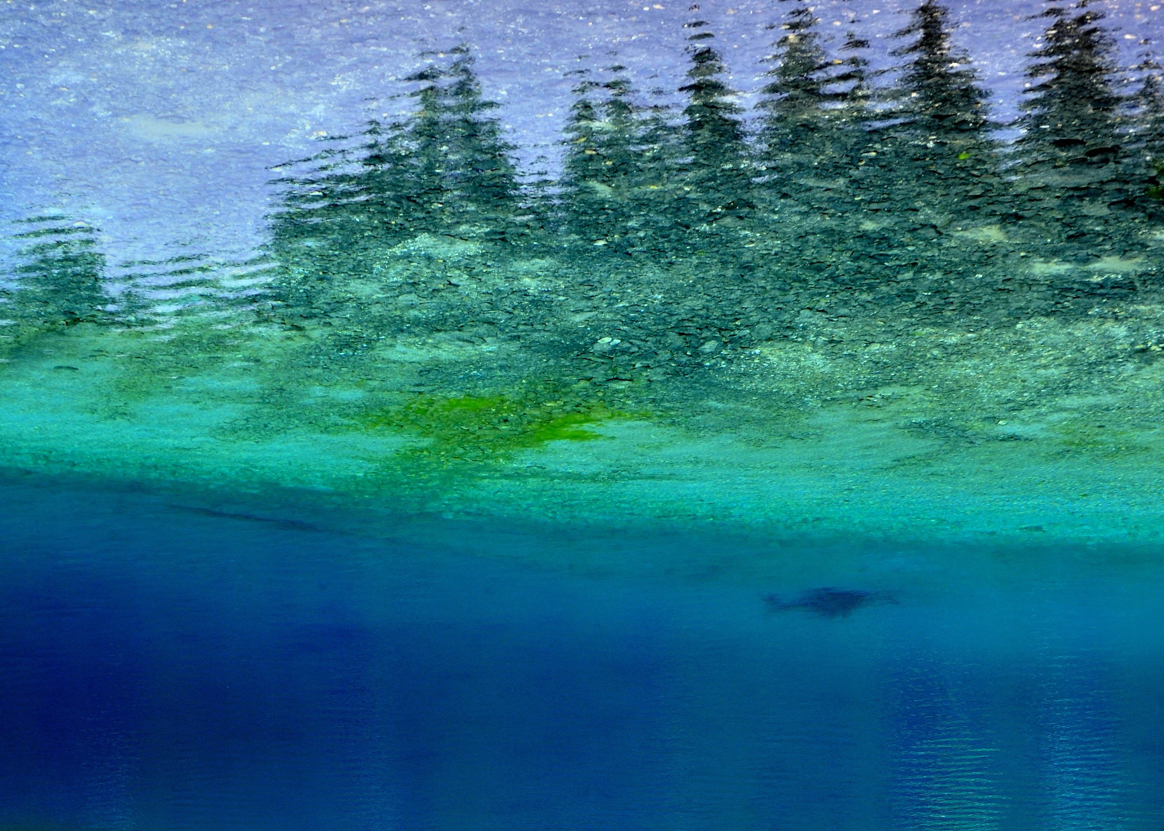 Lago di carezza (Bz)