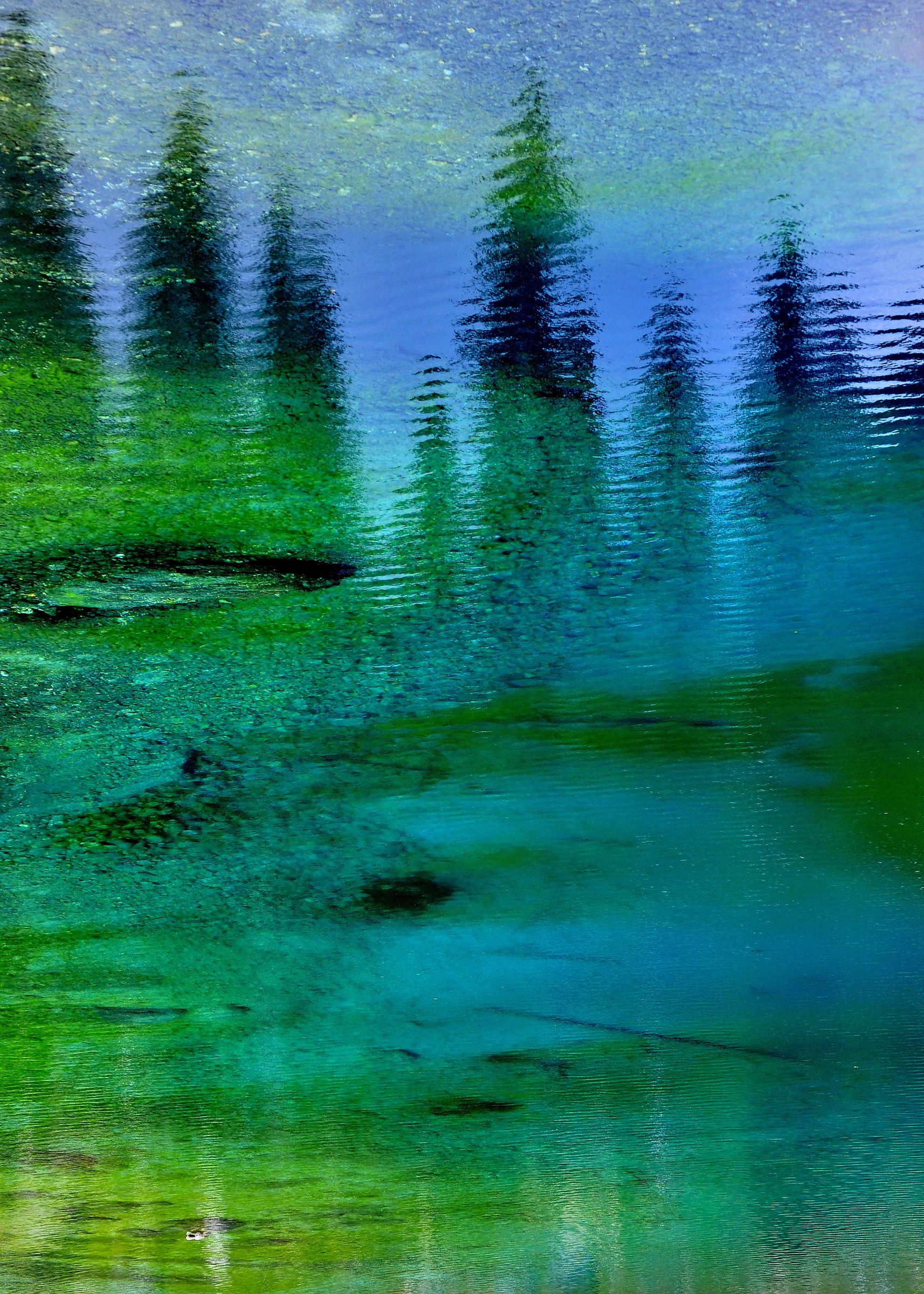 Lago di carezza (Bz)