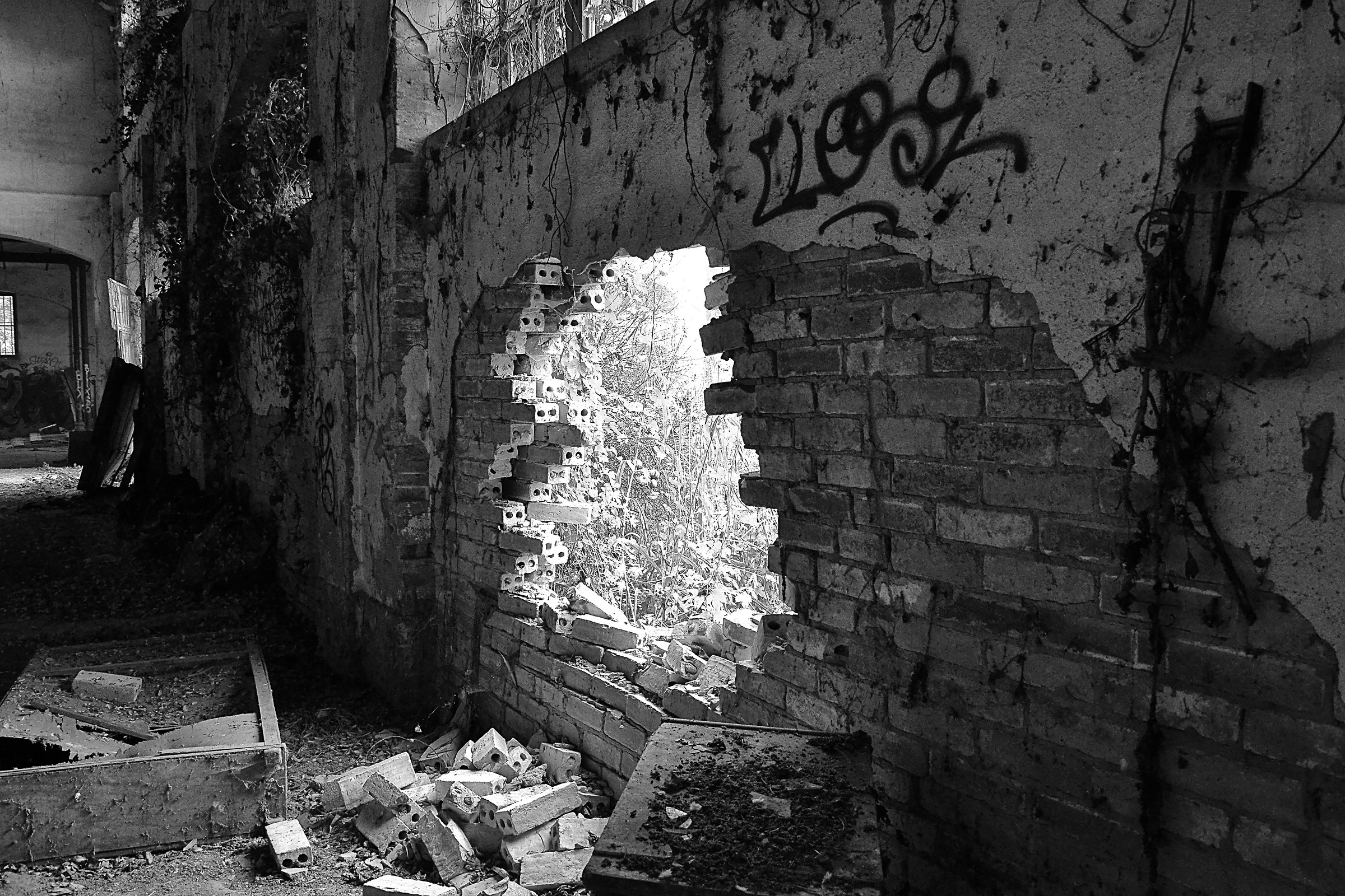 another Brick in the Wall