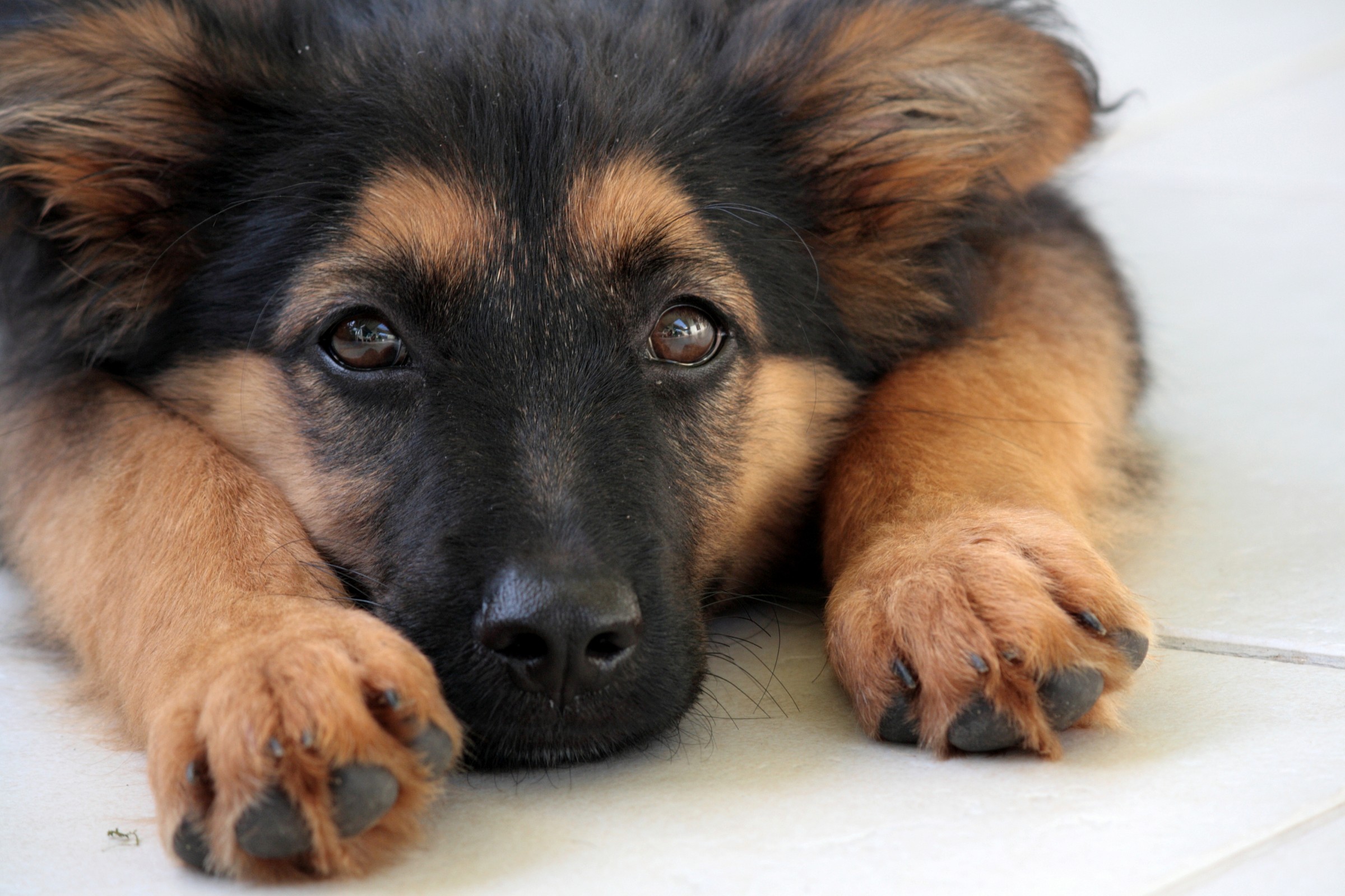 la tenerezza negli occhi