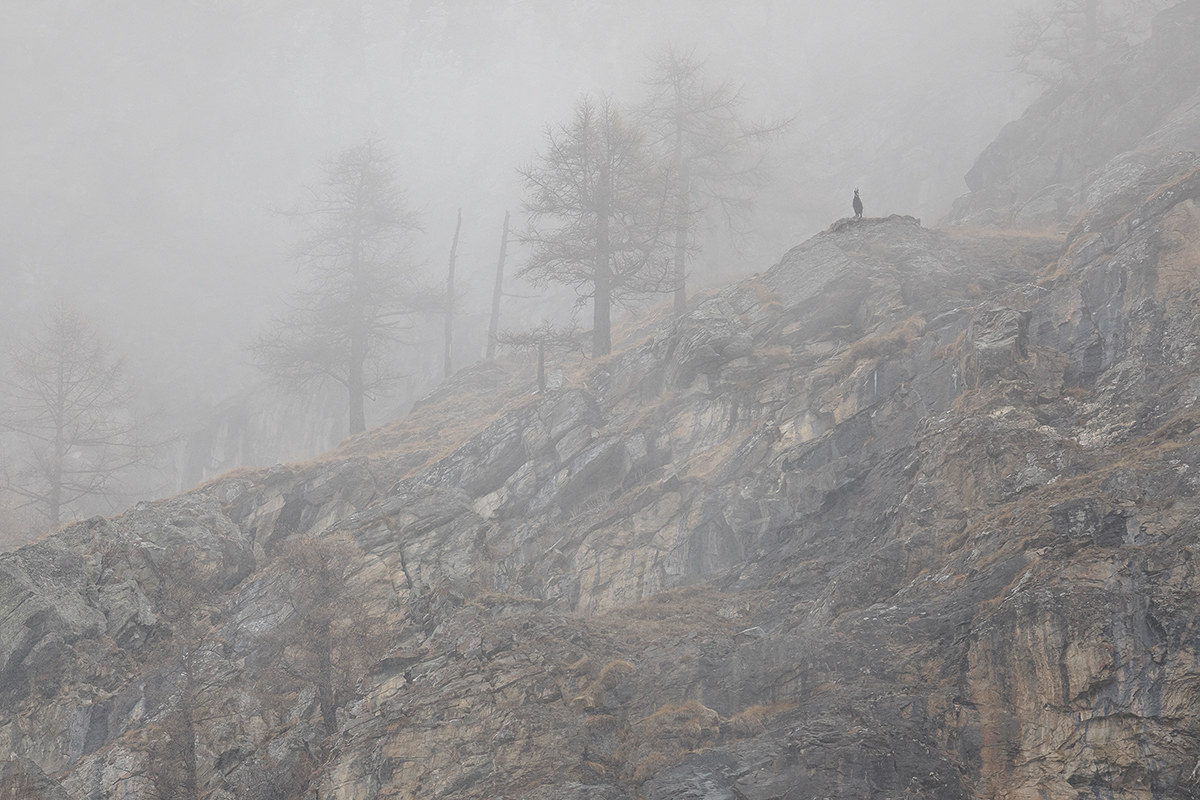 Watching the world go under his Feet