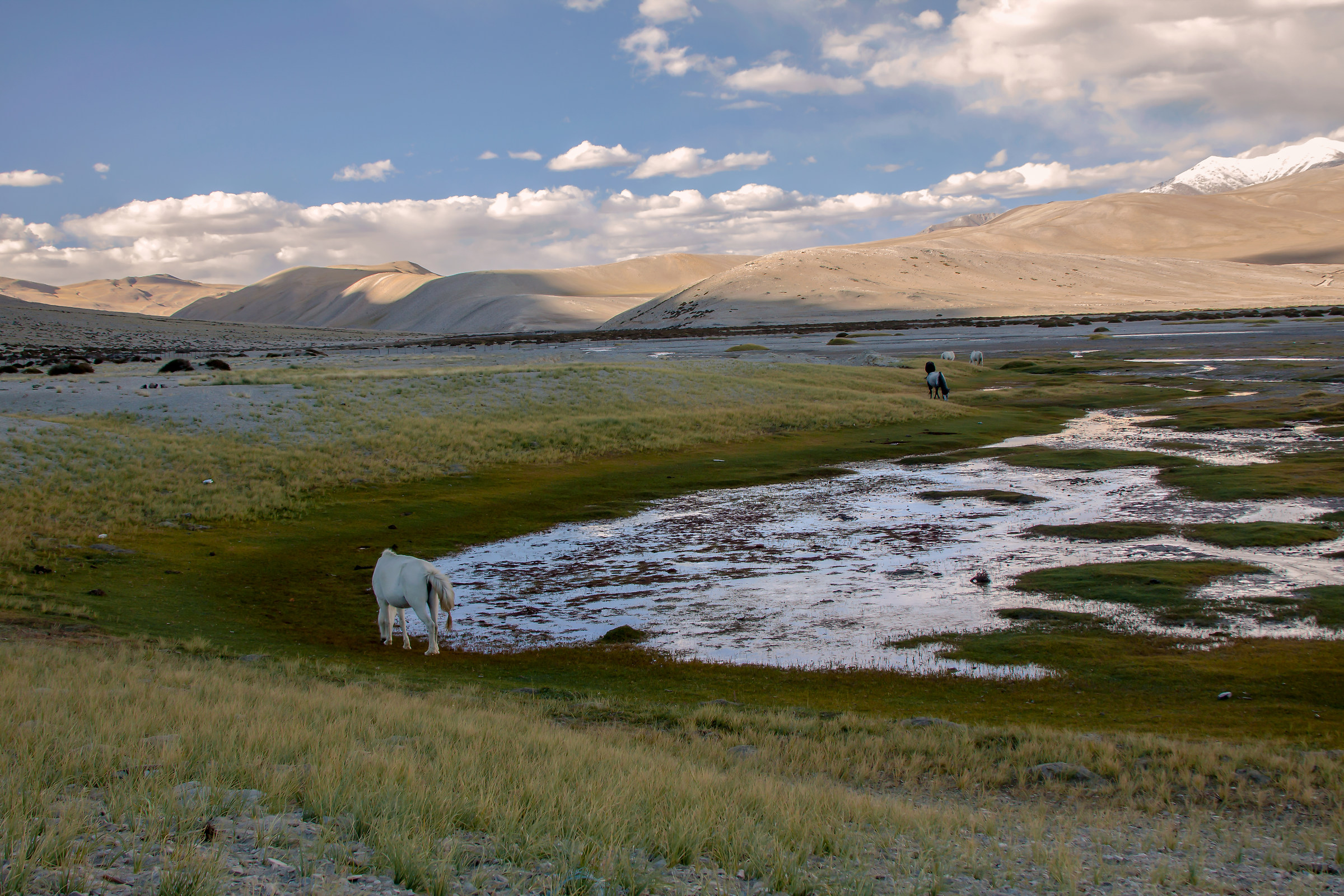 Cold Desert Of Ladakh