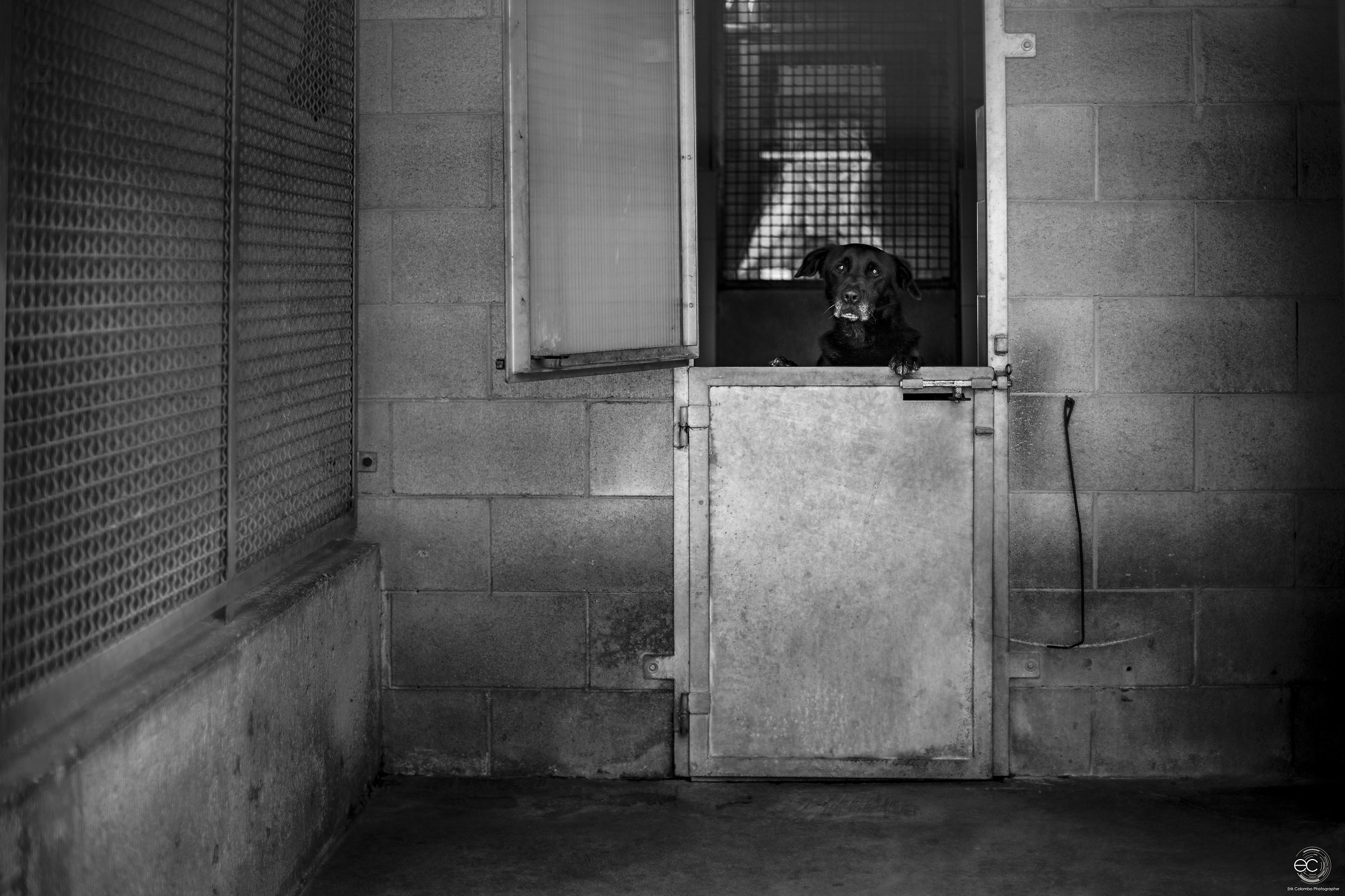 Someone knocks on the door?