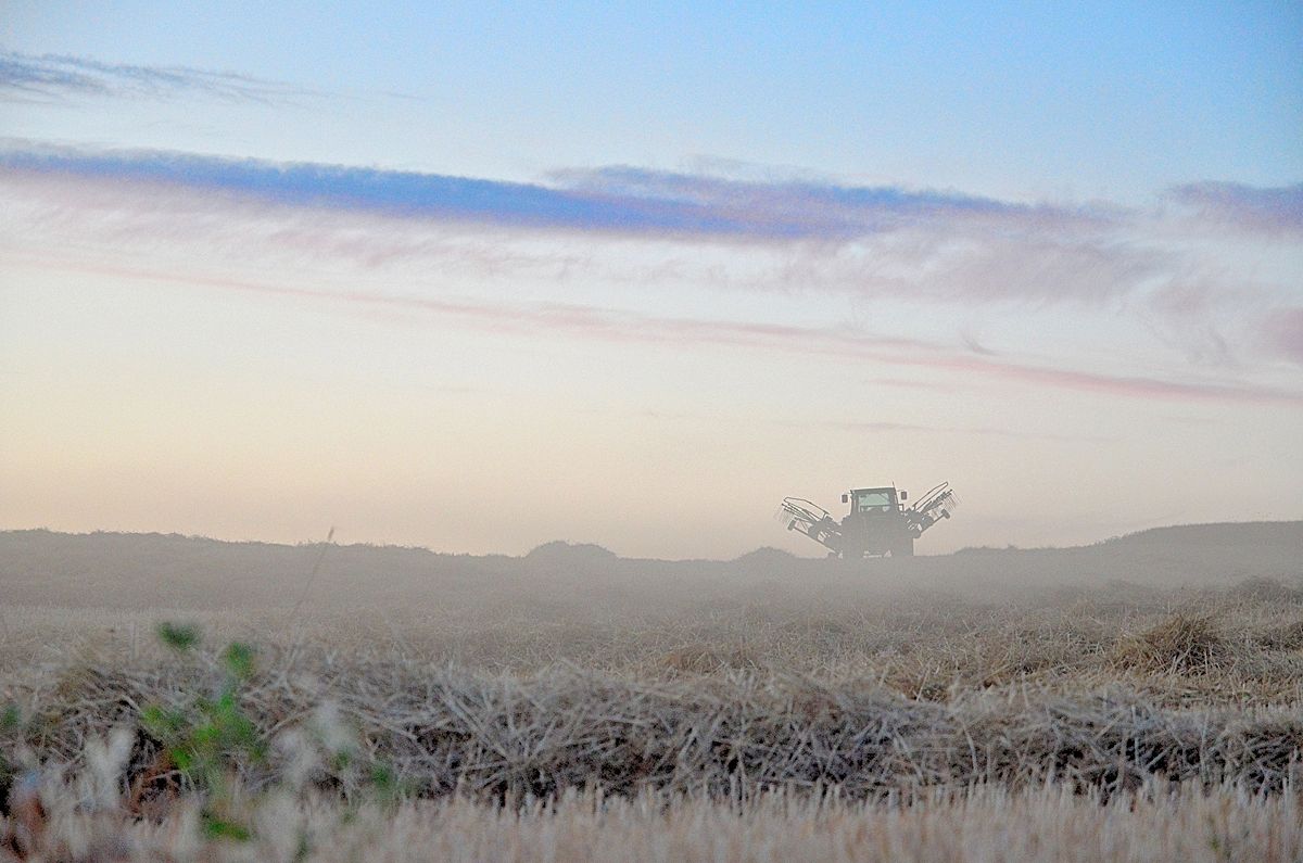 Nuvole,Polvere e Sudore